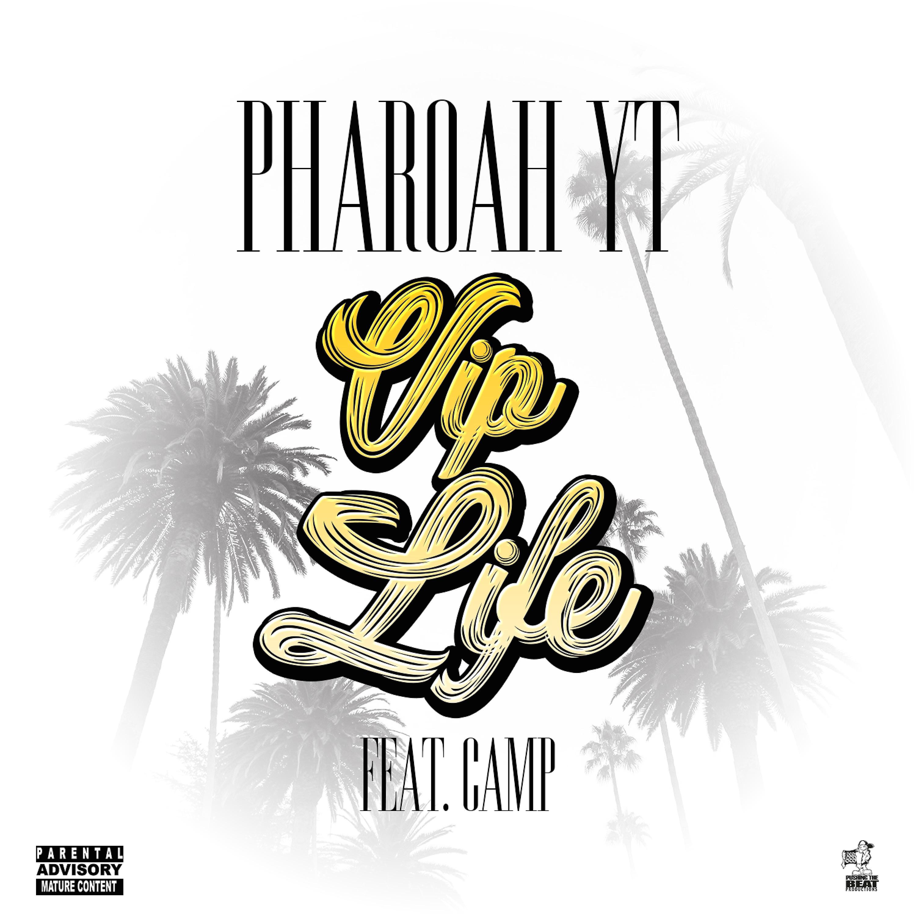 Постер альбома VIP Life (feat. Camp)