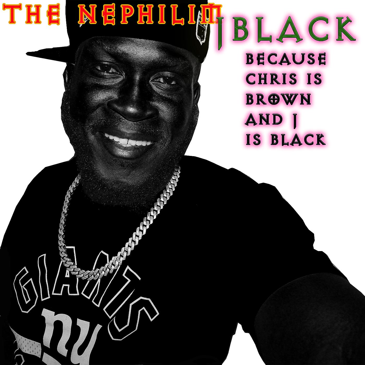 Постер альбома Jblack (Because Chris Is Brown and J Is Black)