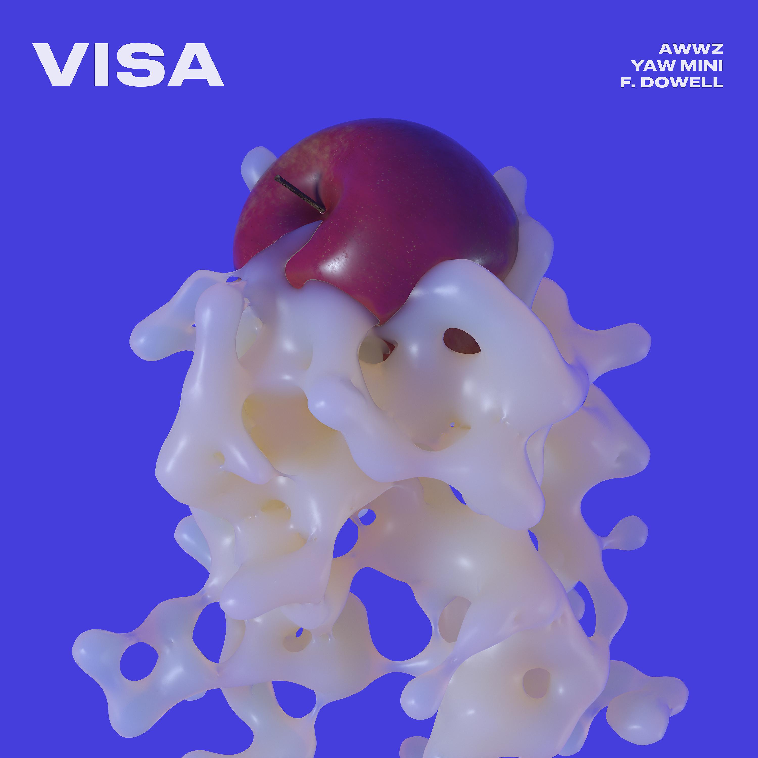 Постер альбома Visa