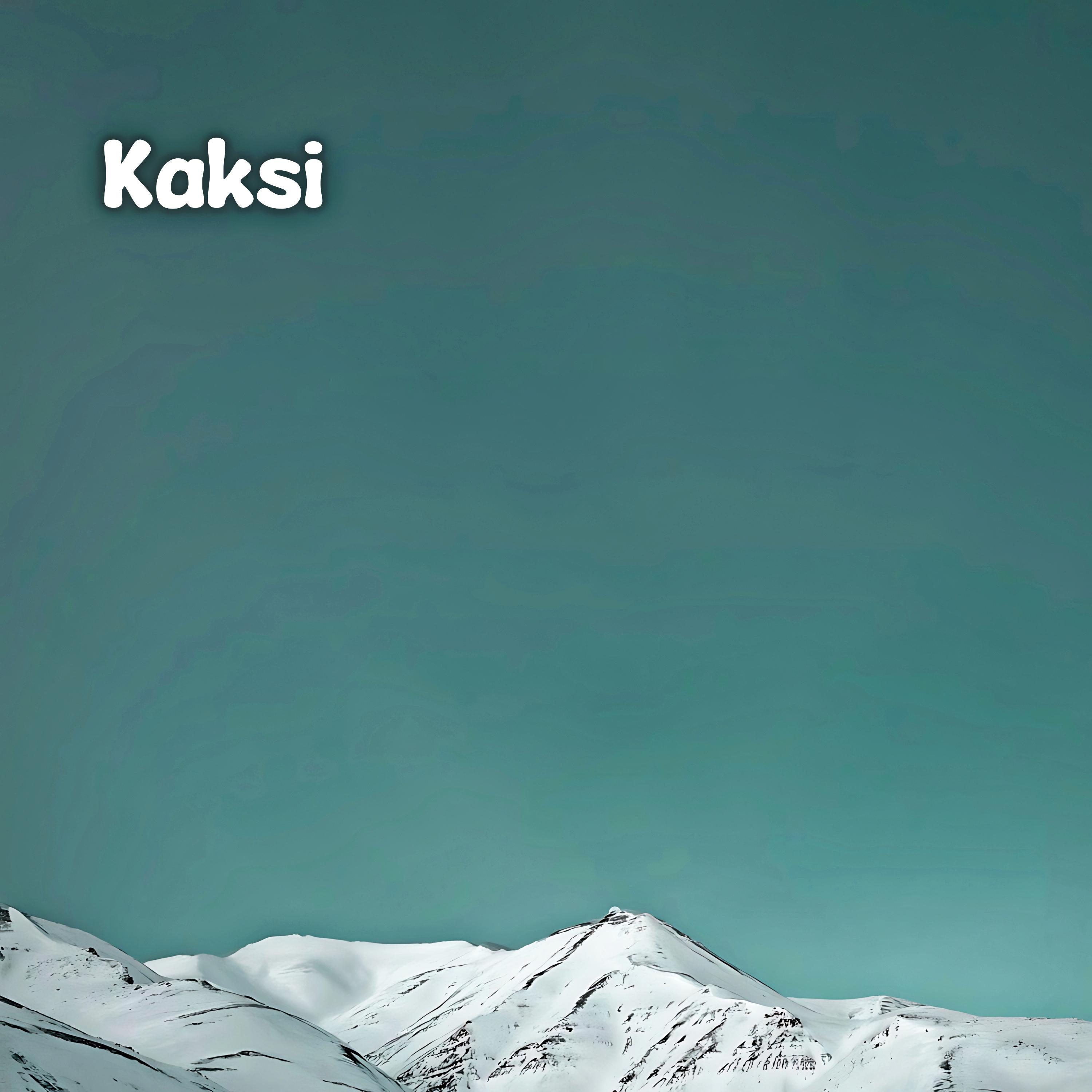 Постер альбома Kaksi