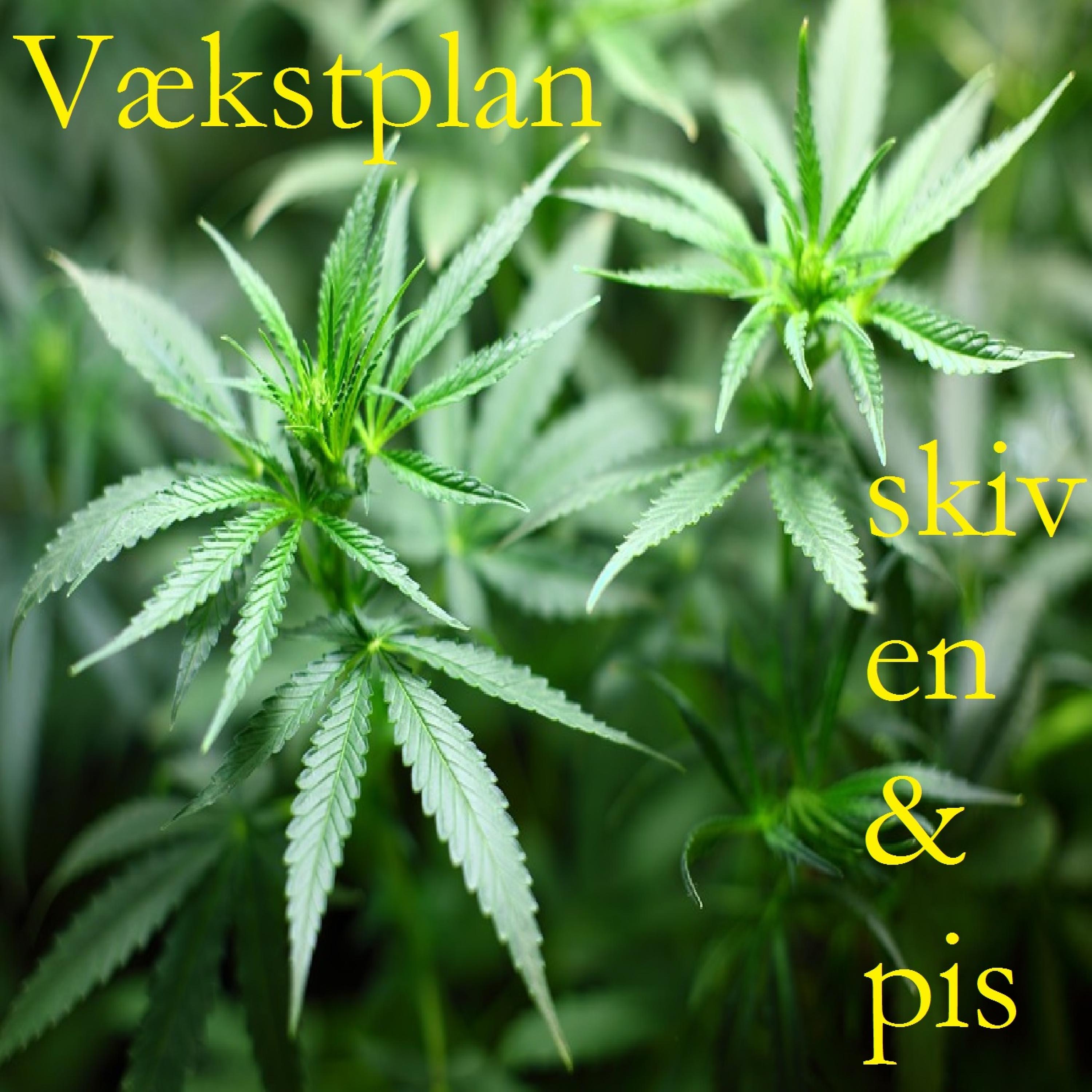 Постер альбома Vækstplan
