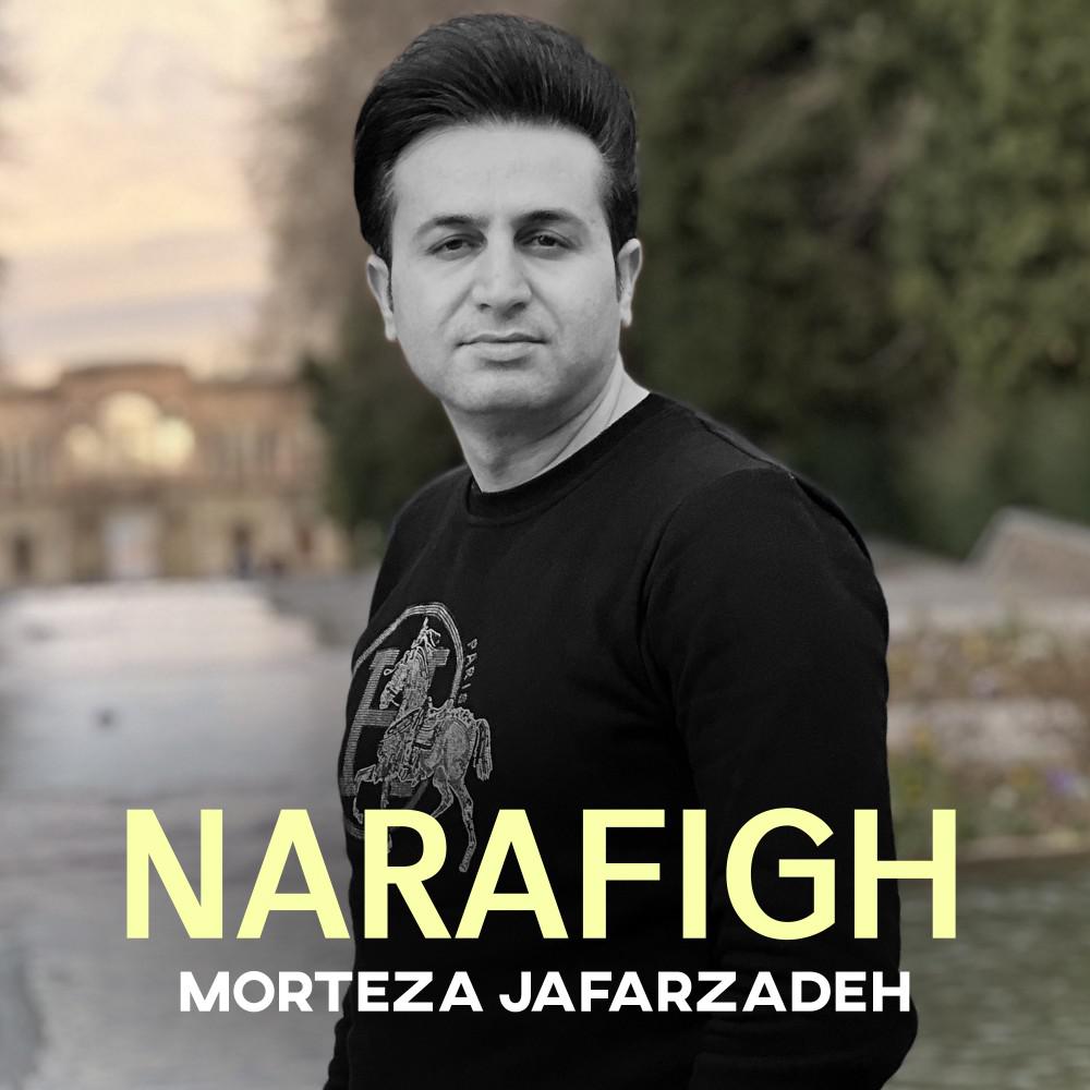 Постер альбома Narafigh