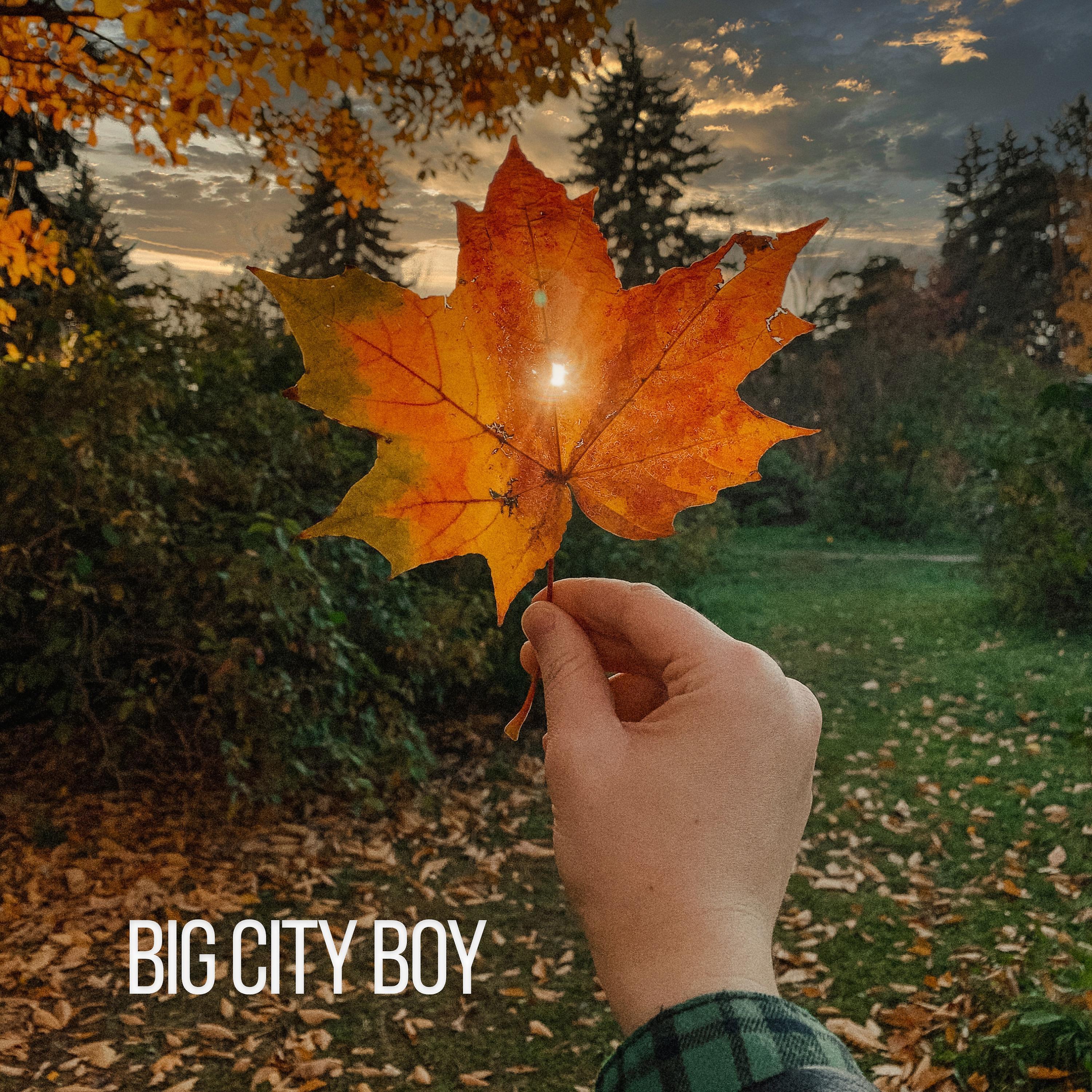 Постер альбома Big City Boy