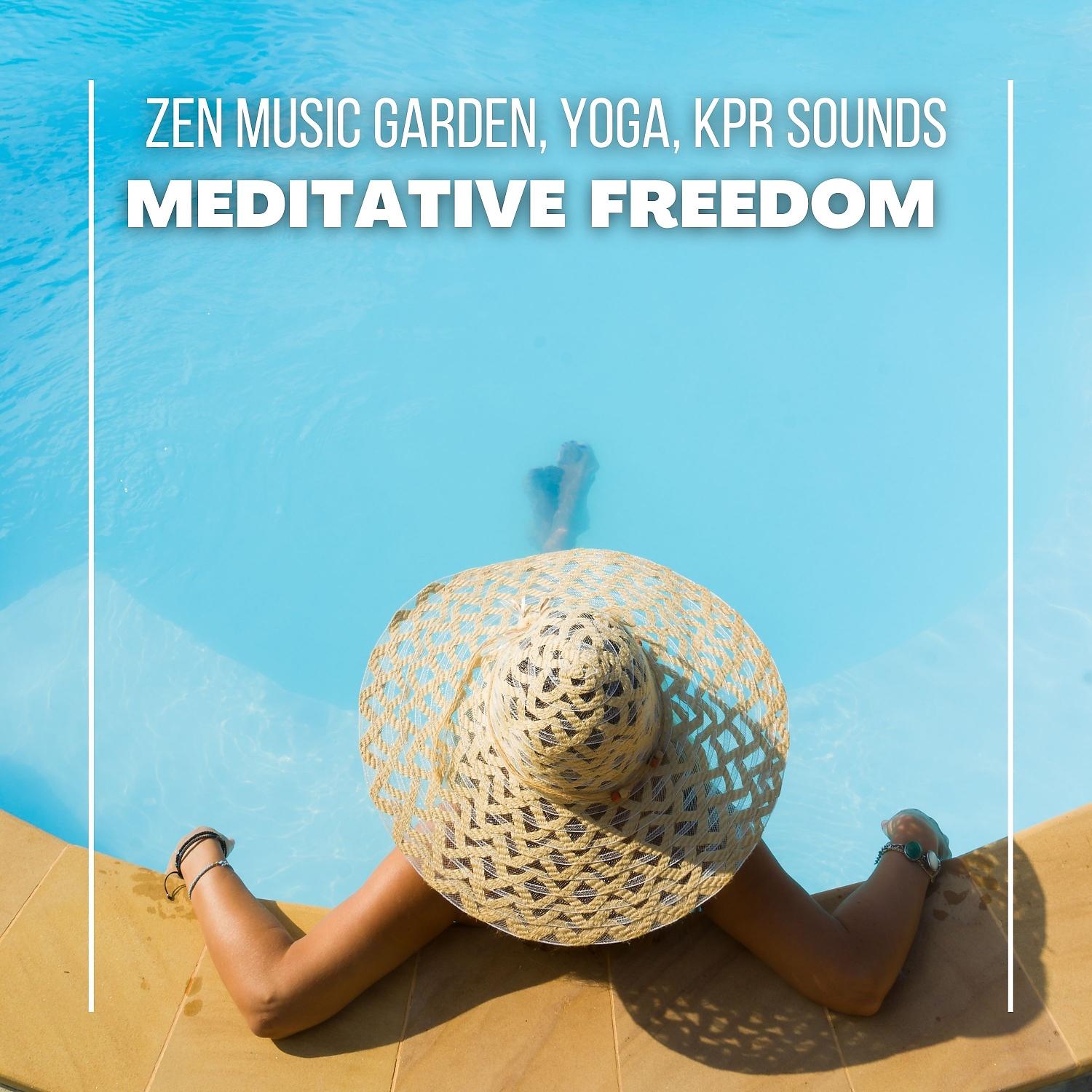 Постер альбома Meditative Freedom