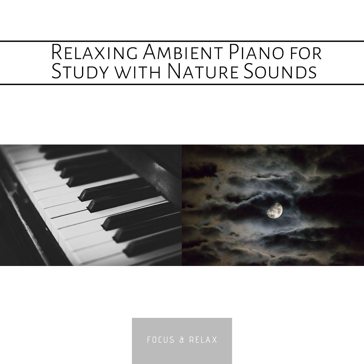 Постер альбома Relaxing Ambient Piano for Study with Nature Sounds