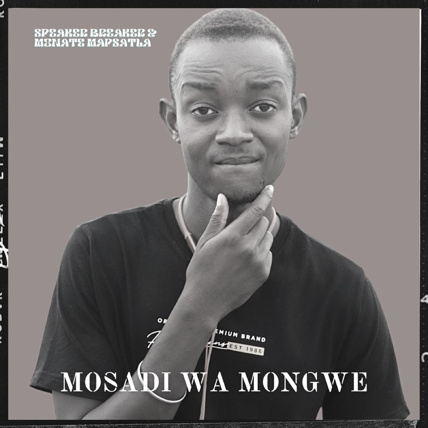 Постер альбома Mosadi Wa Mongwe