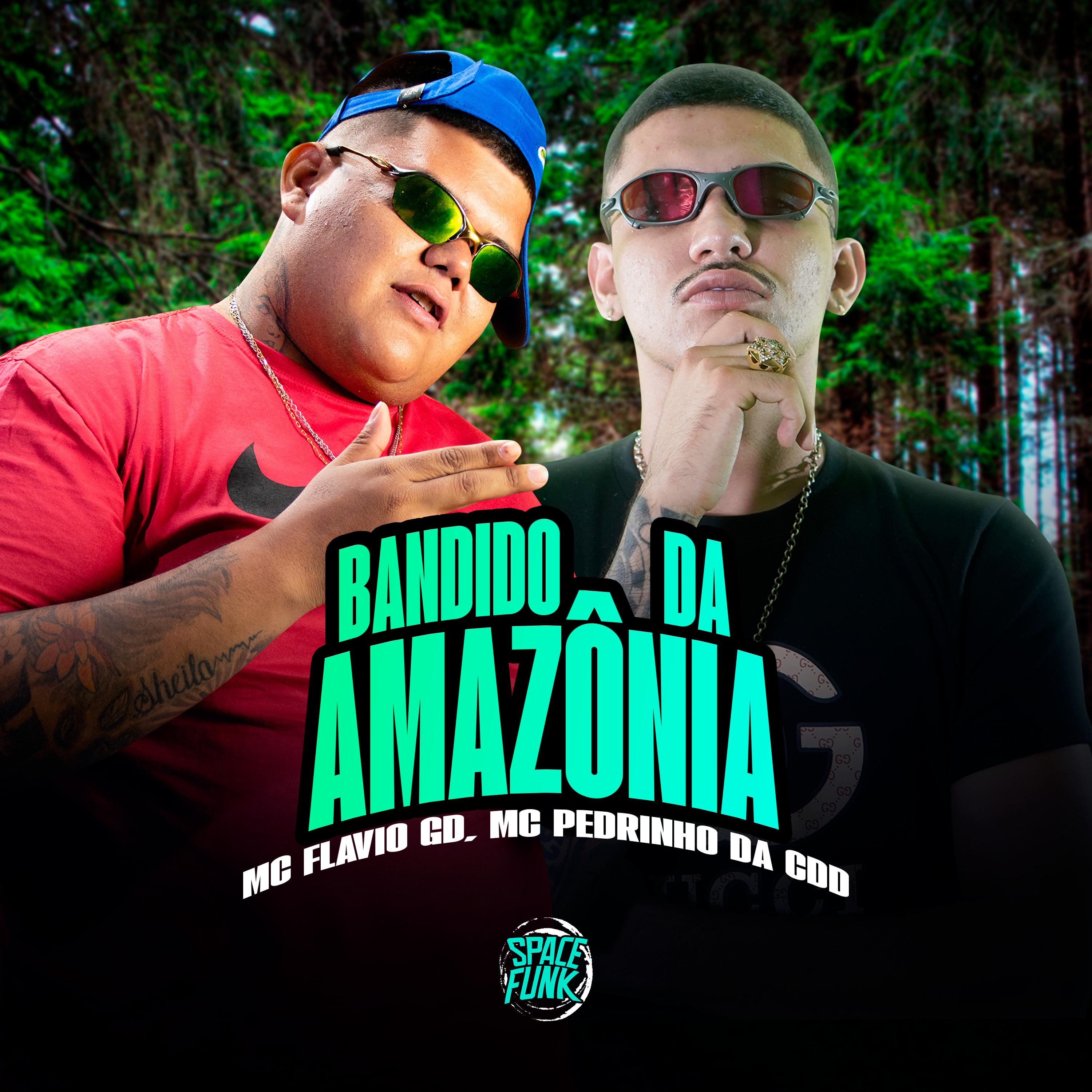Постер альбома Bandido da Amazônia
