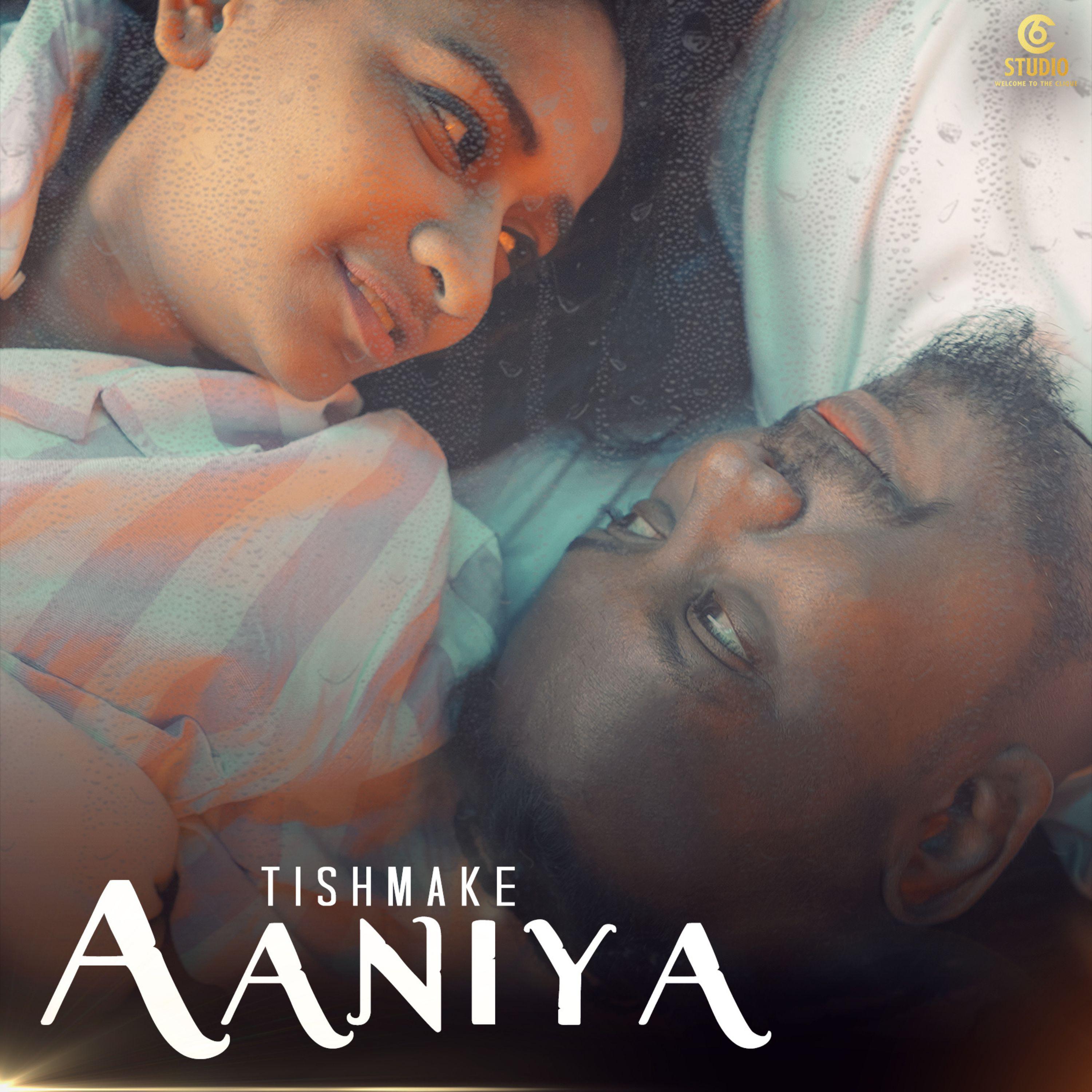 Постер альбома Aaniya
