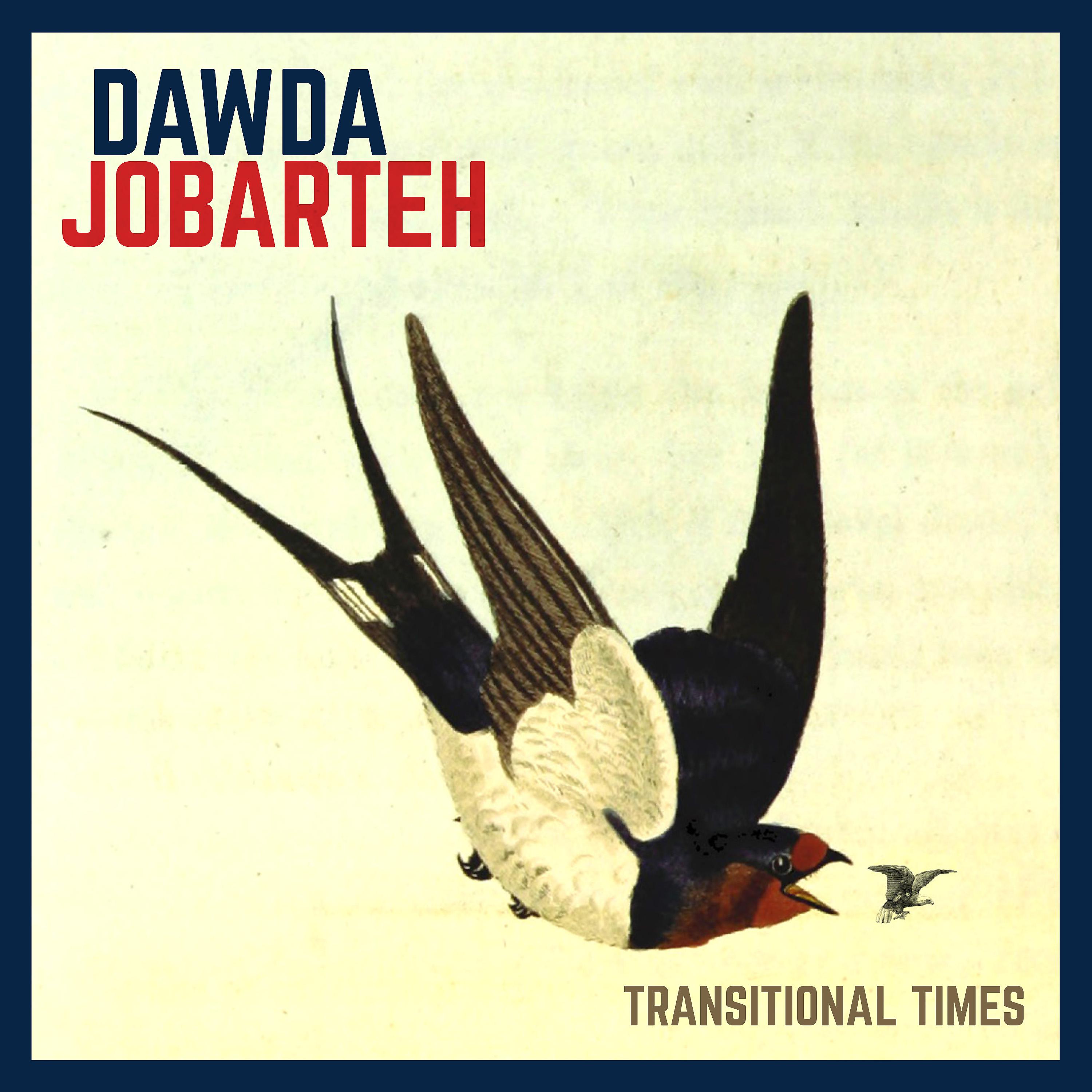 Постер альбома Transitional Times