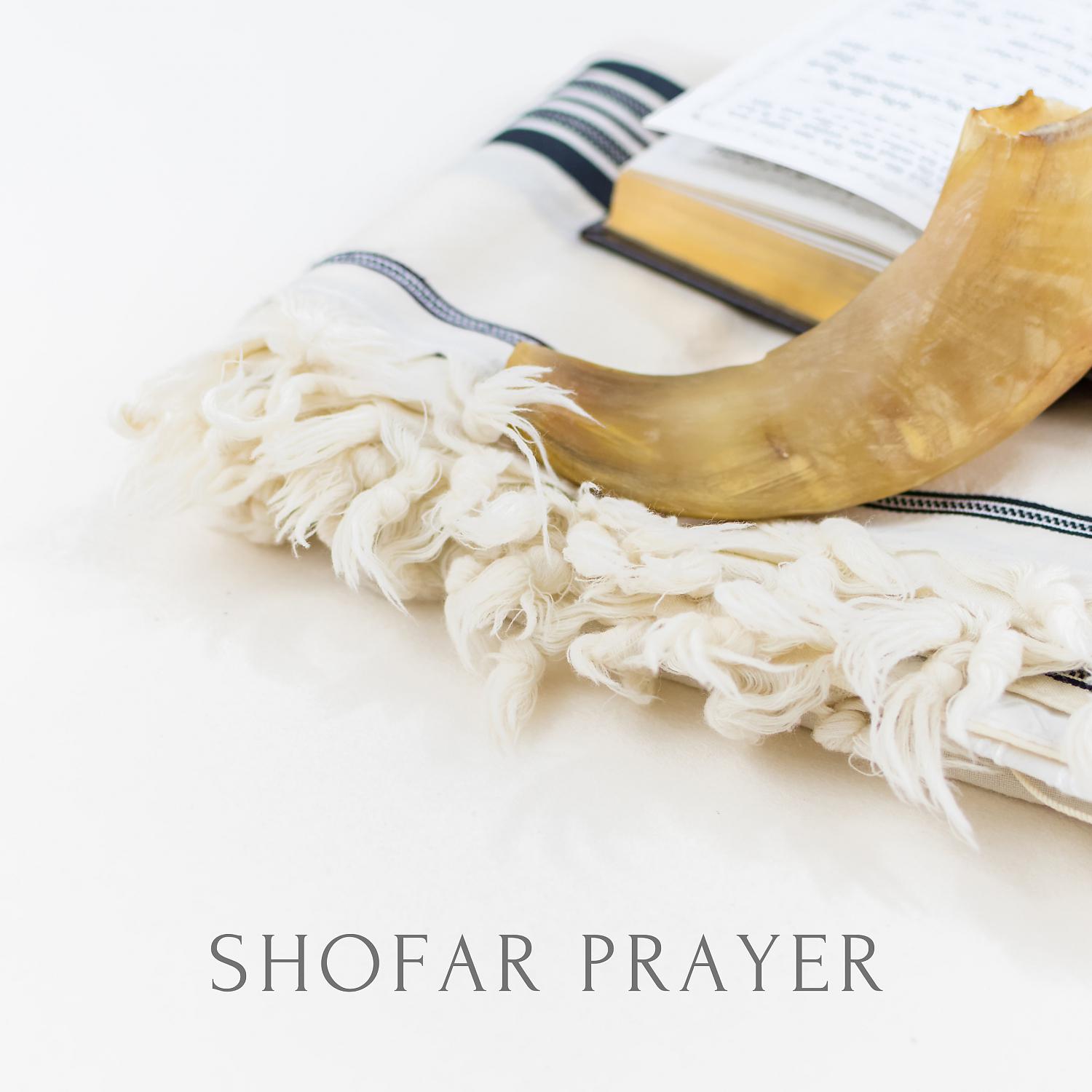 Постер альбома Shofar Prayer