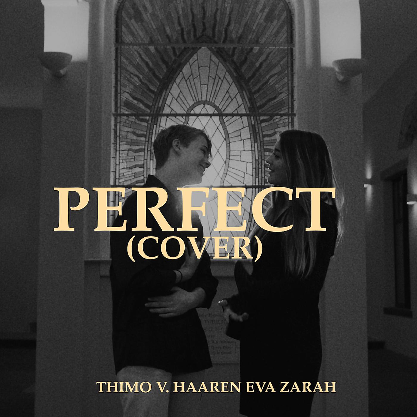 Постер альбома Perfect (Cover)