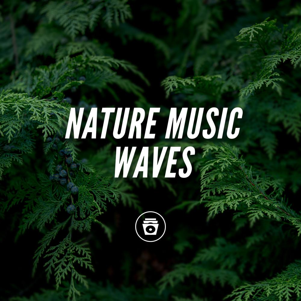 Постер альбома Nature Music Waves