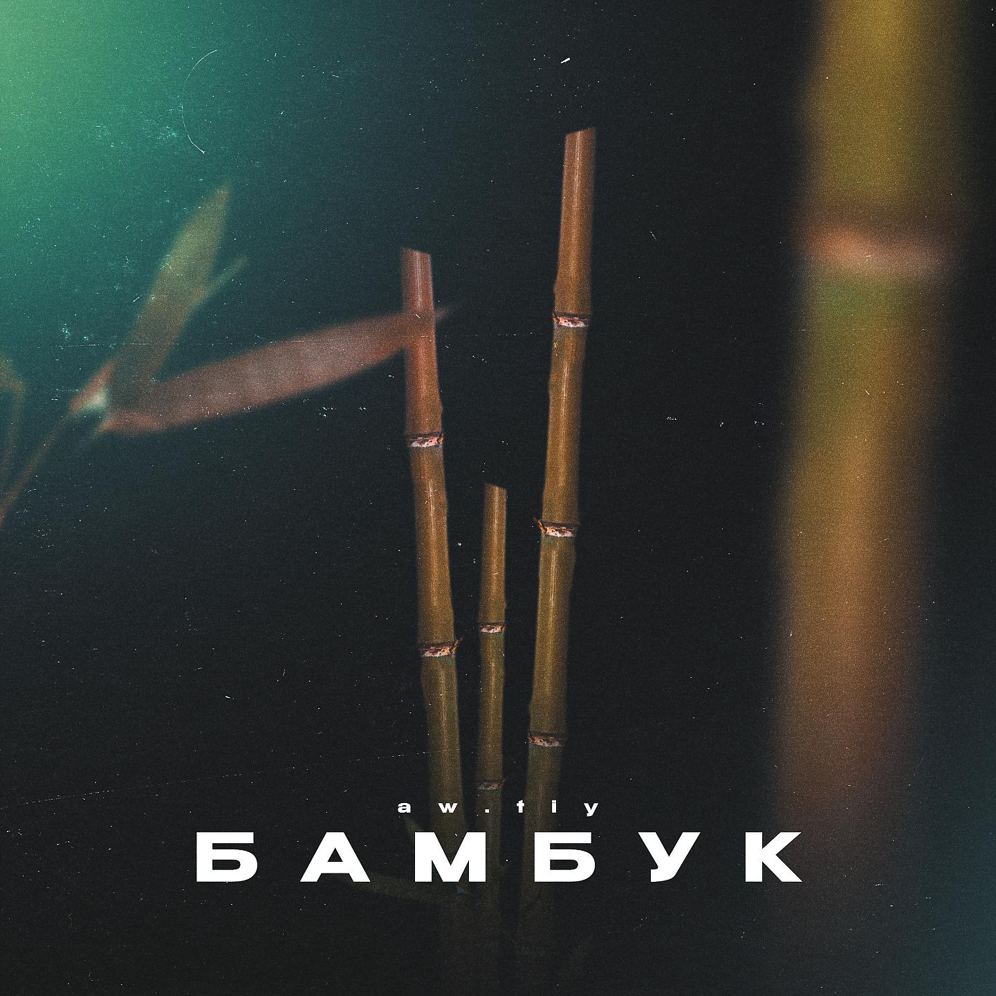Постер альбома Бамбук