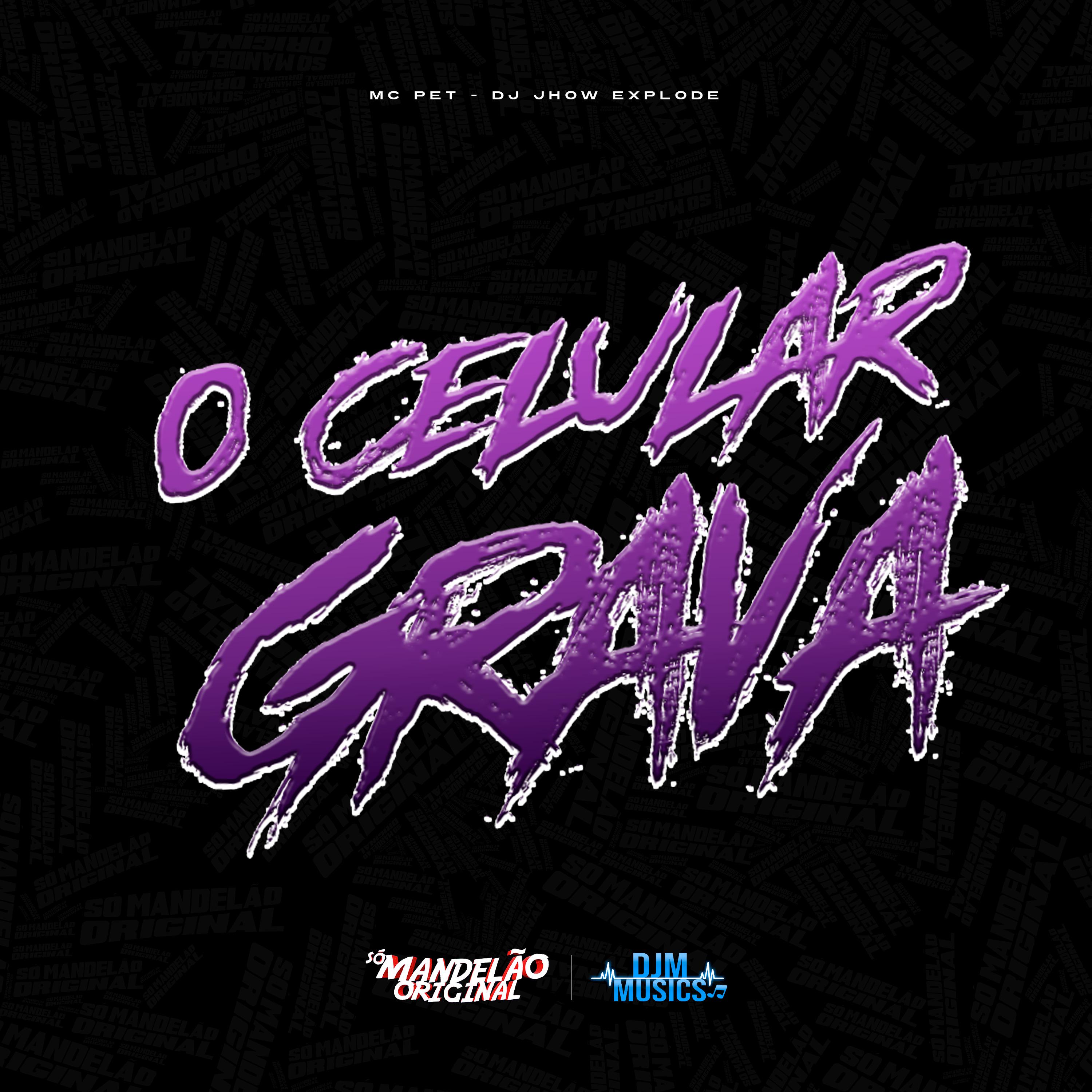 Постер альбома O Celular Grava