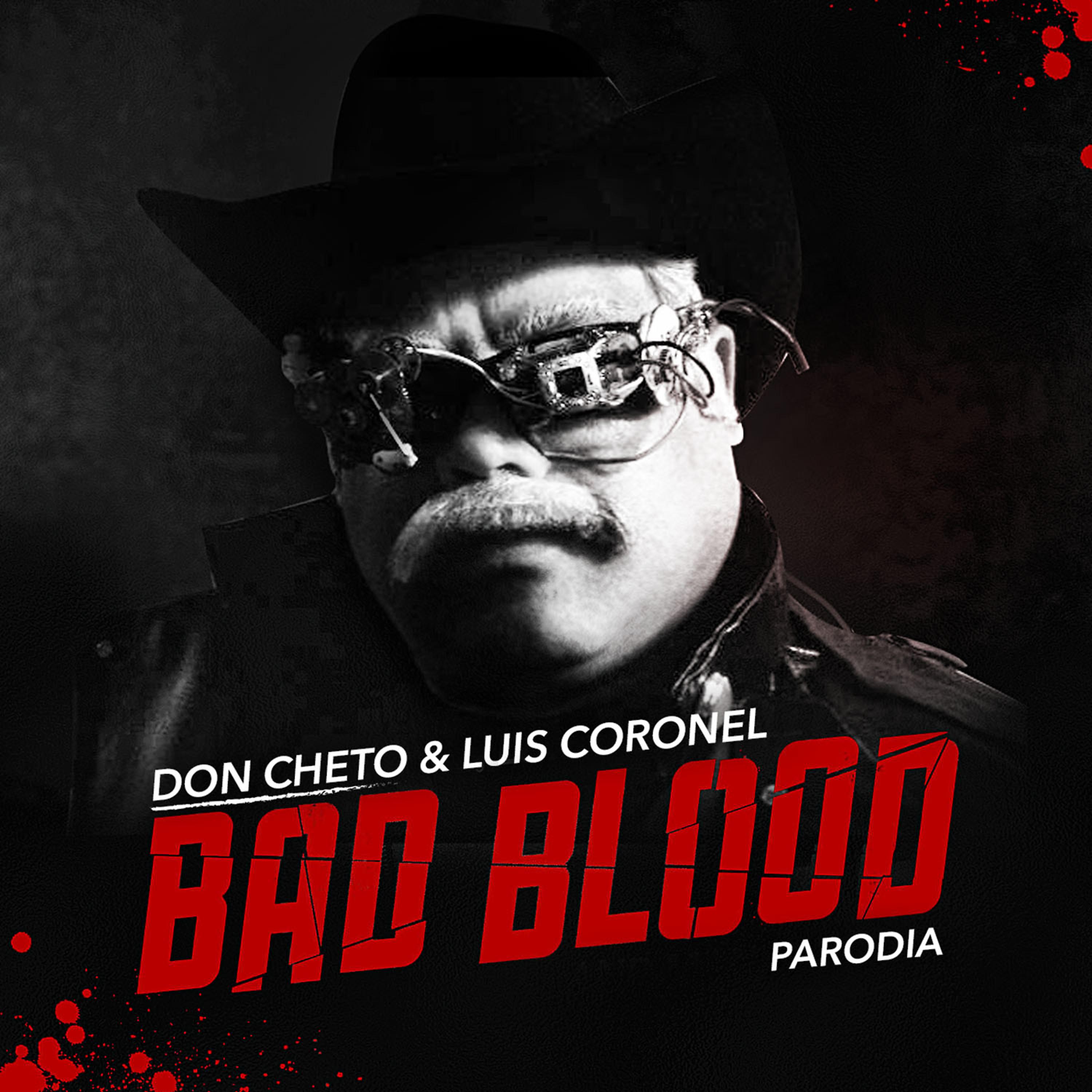 Постер альбома Bad Blood Parodia