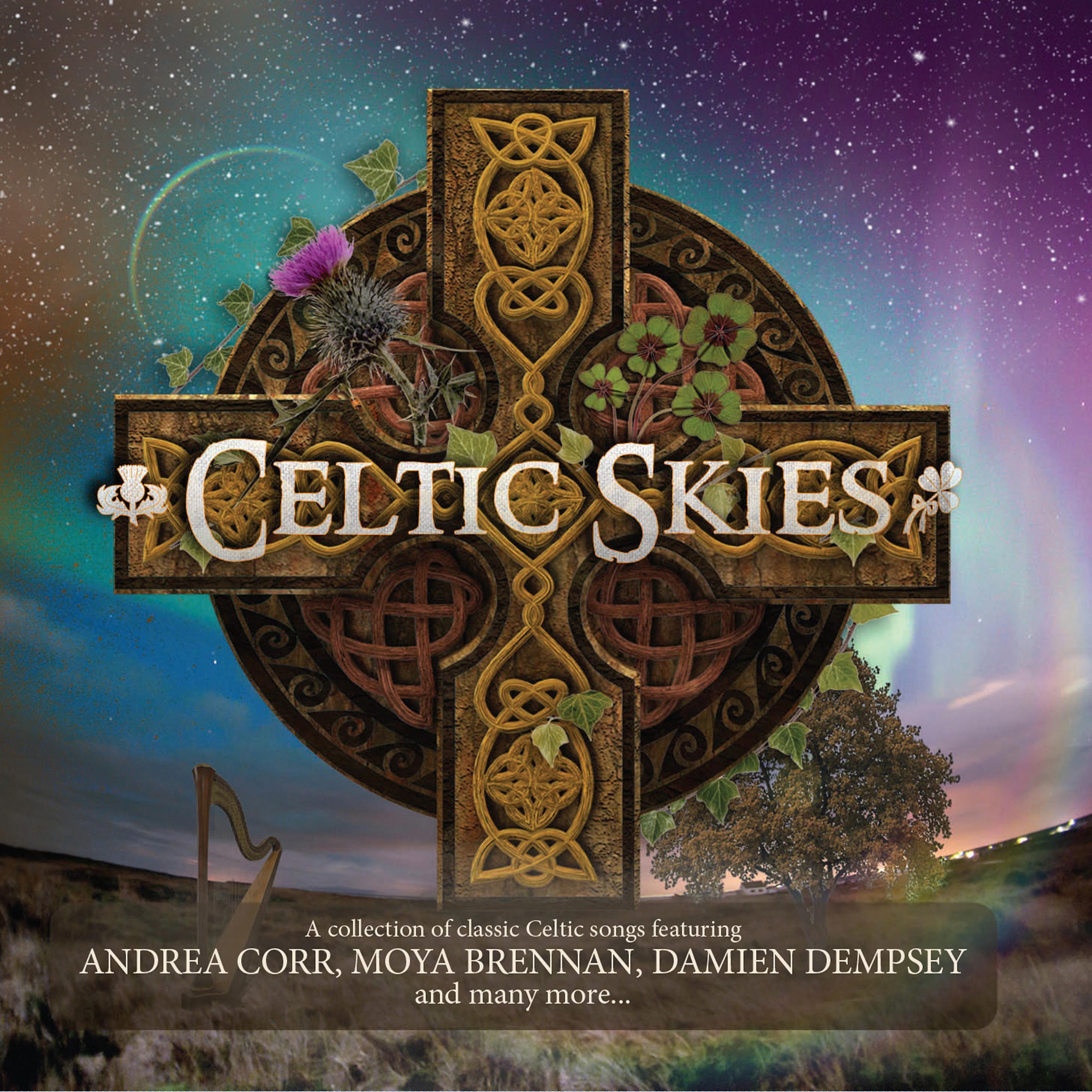Постер альбома Celtic Skies