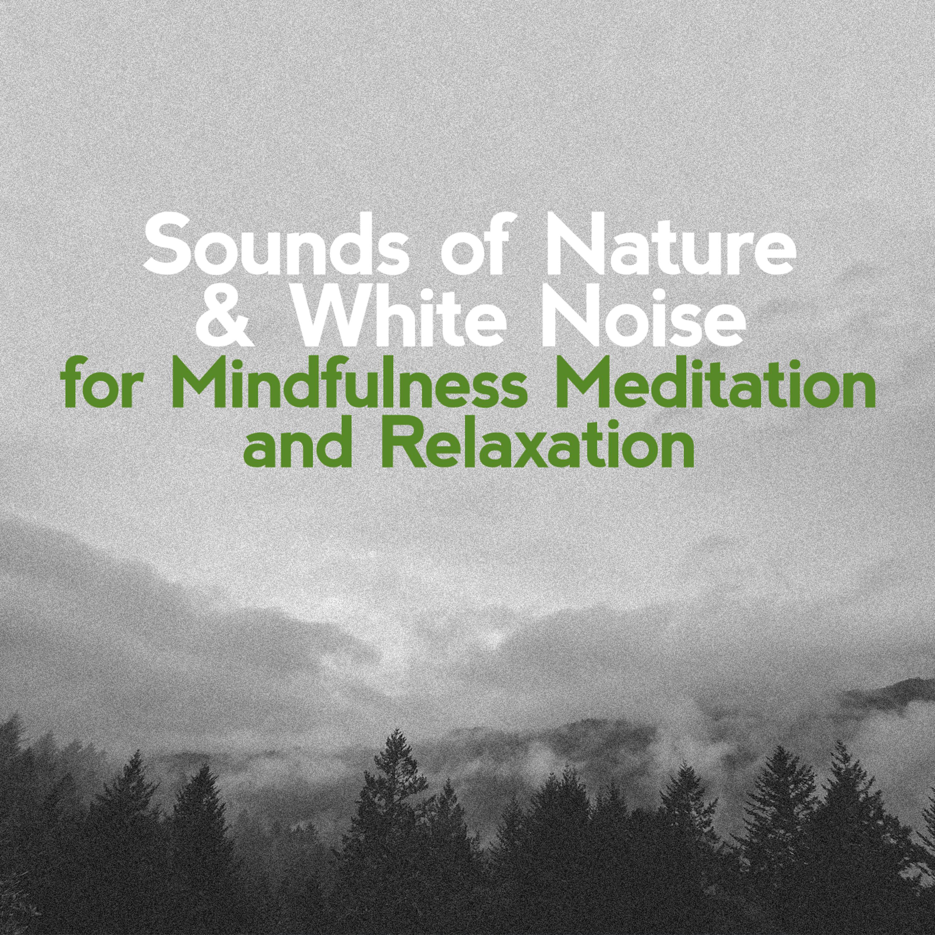 Постер альбома Sounds of Nature & White Noise for Mindfulness Meditation and Relaxation