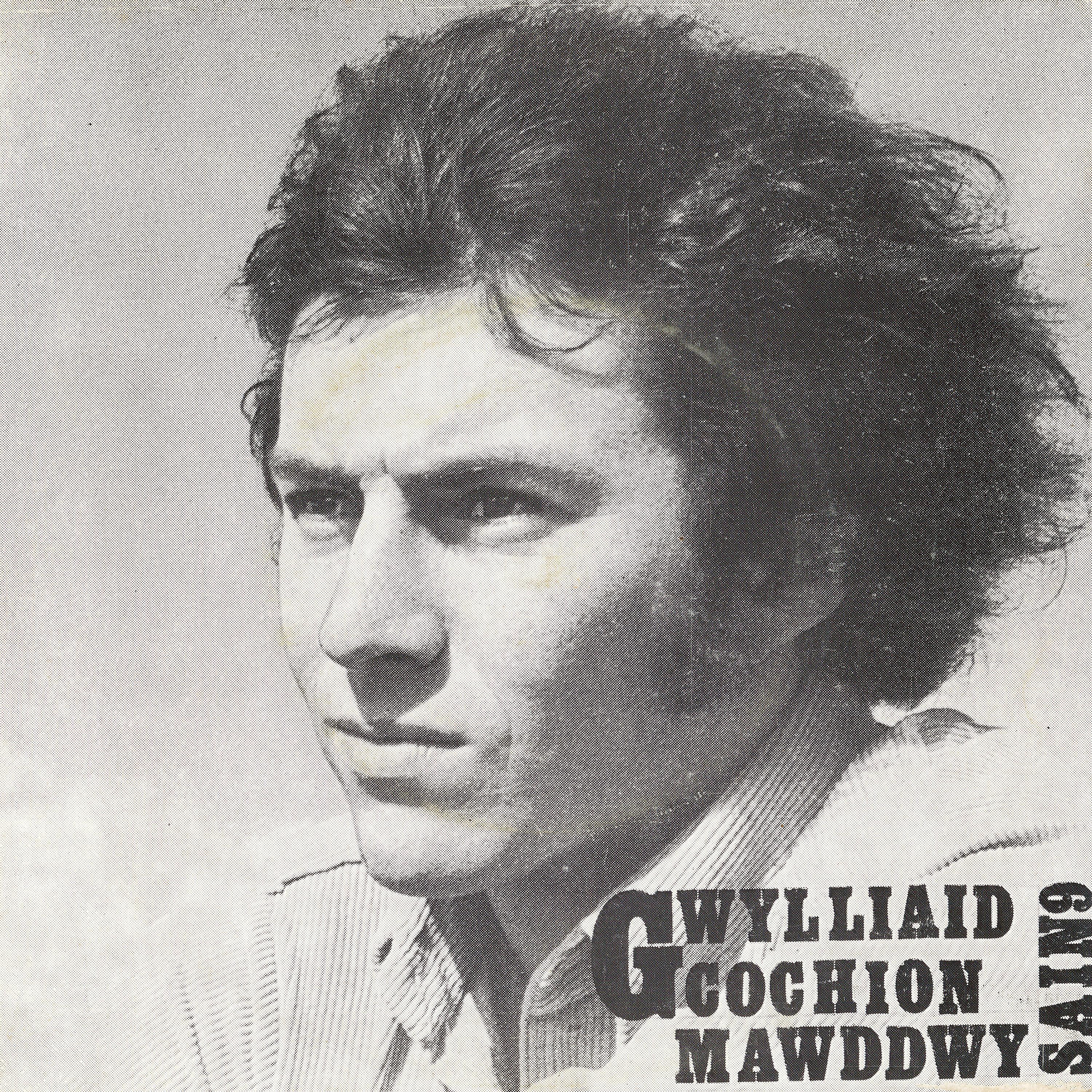 Постер альбома Gwylliaid Cochion Mawddwy