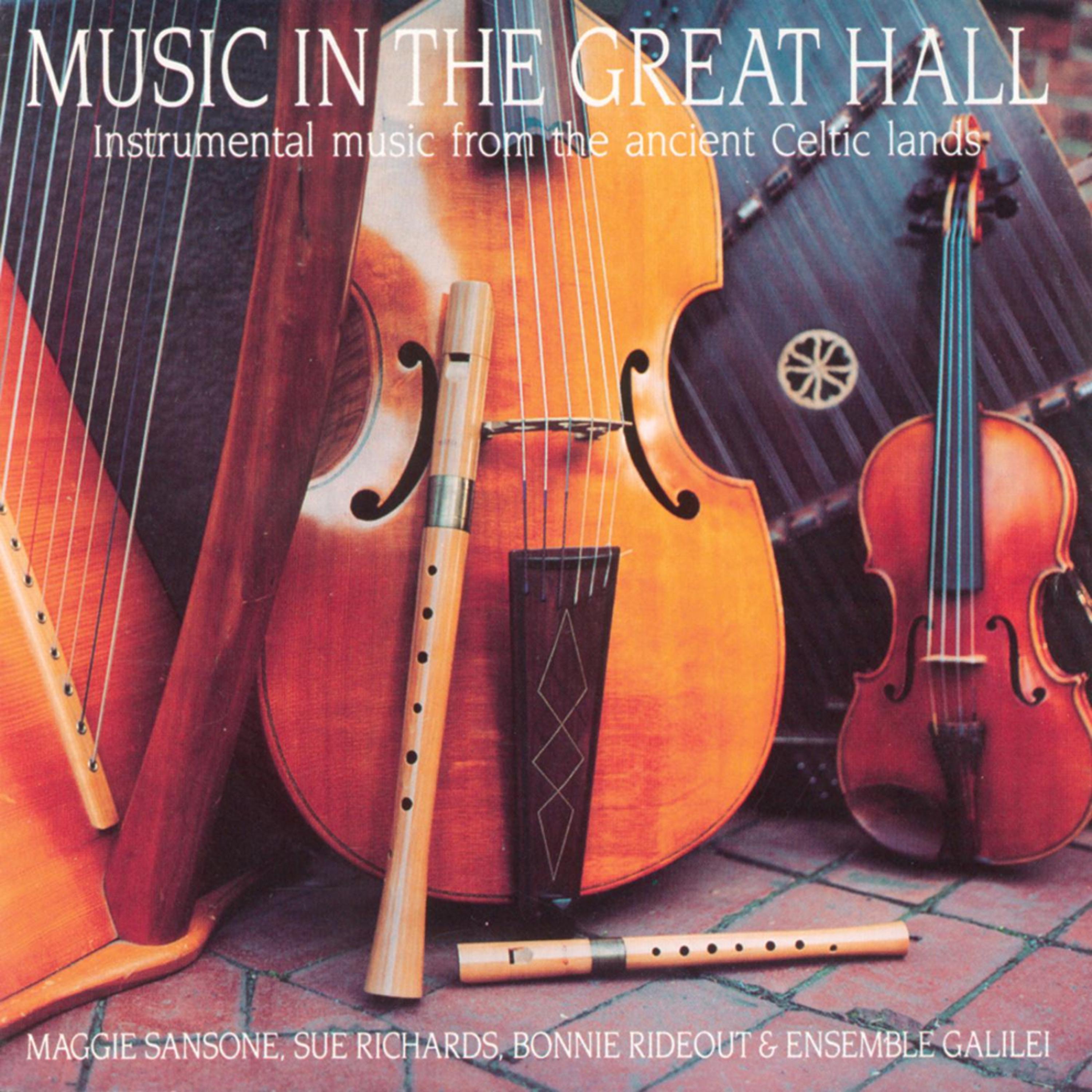 Постер альбома Music in the Great Hall - Instrumental Music from the Ancient Celtic Lands