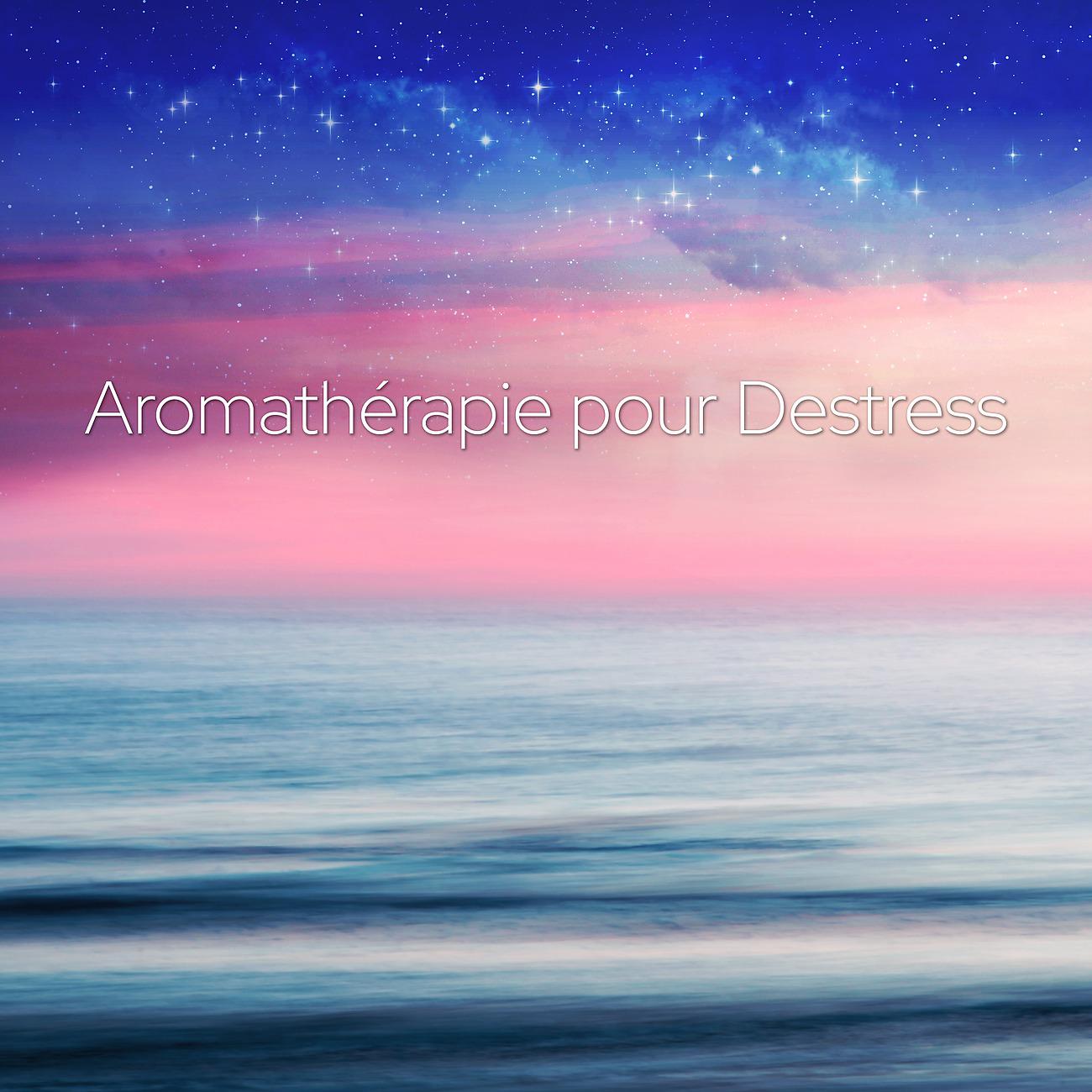 Постер альбома Aromathérapie pour Destress