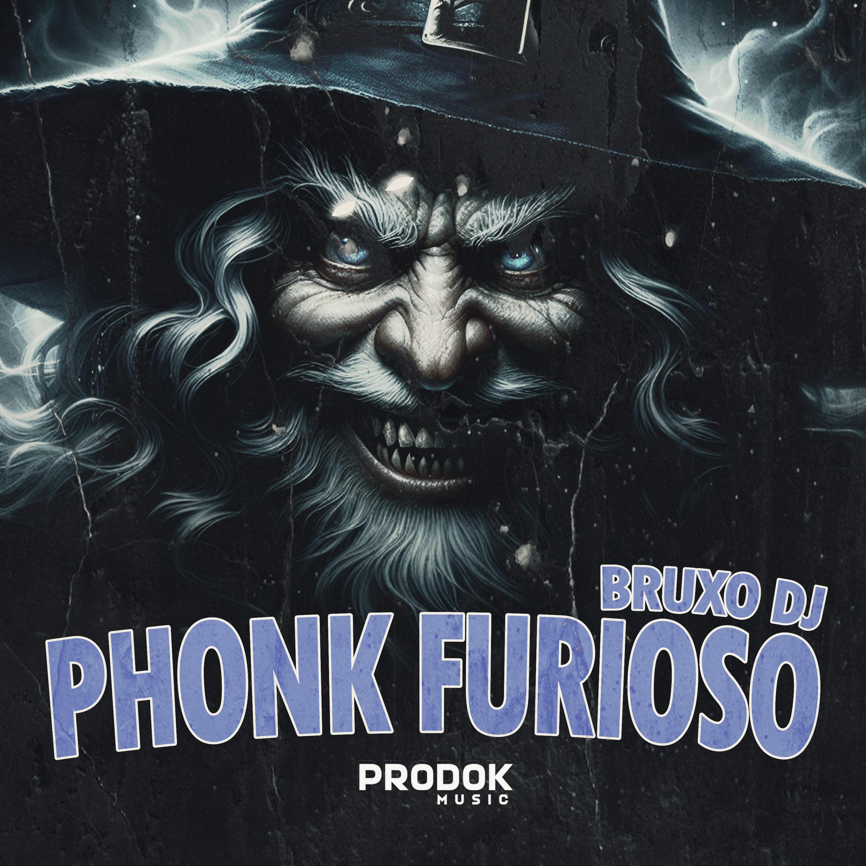 Постер альбома Phonk Furioso
