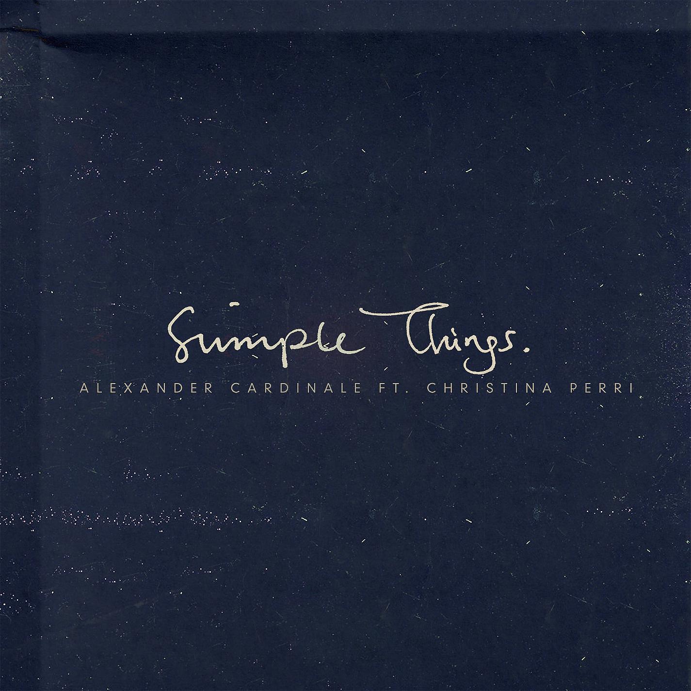 Постер альбома Simple Things (feat. Christina Perri)