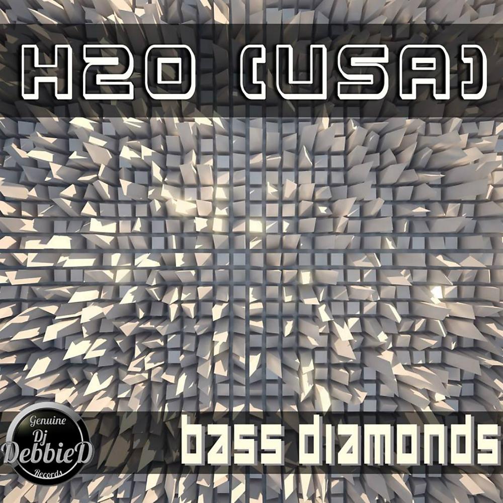 Постер альбома Bass Diamonds