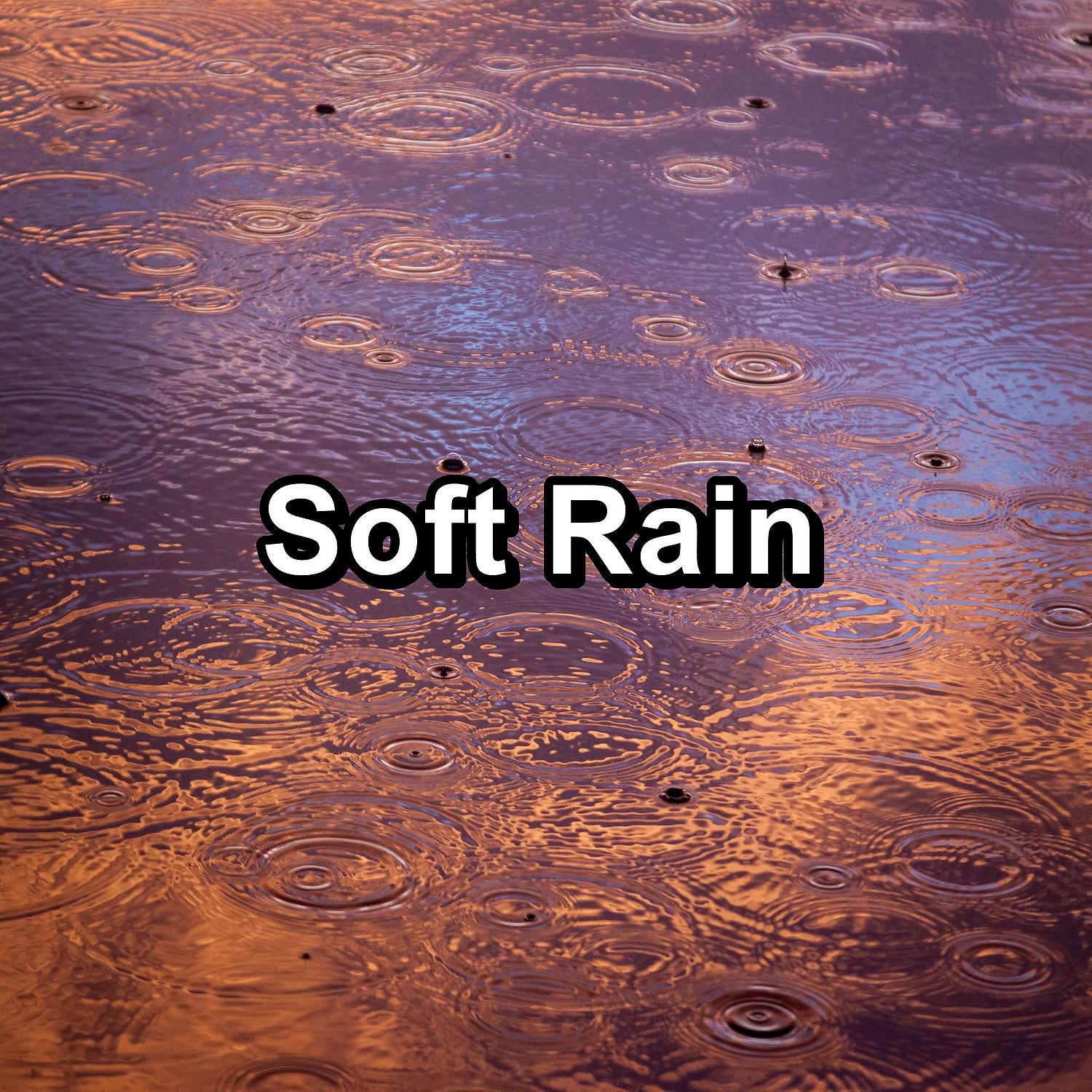 Постер альбома Soft Rain