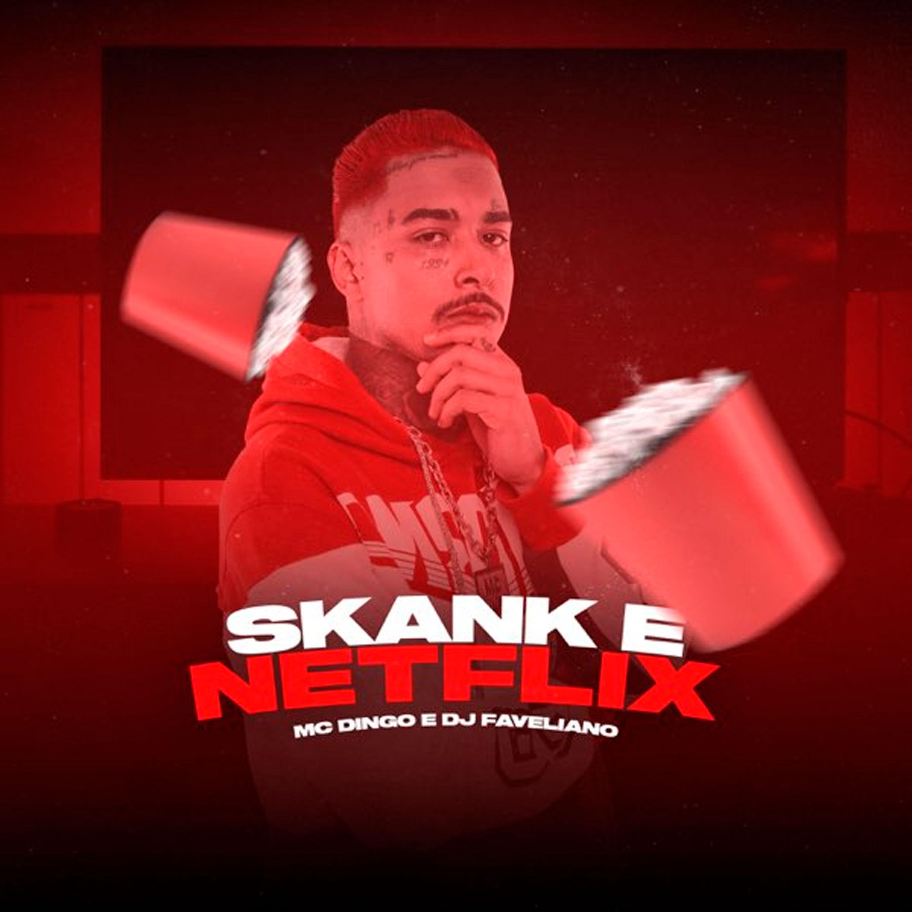 Постер альбома Skank e Netflix