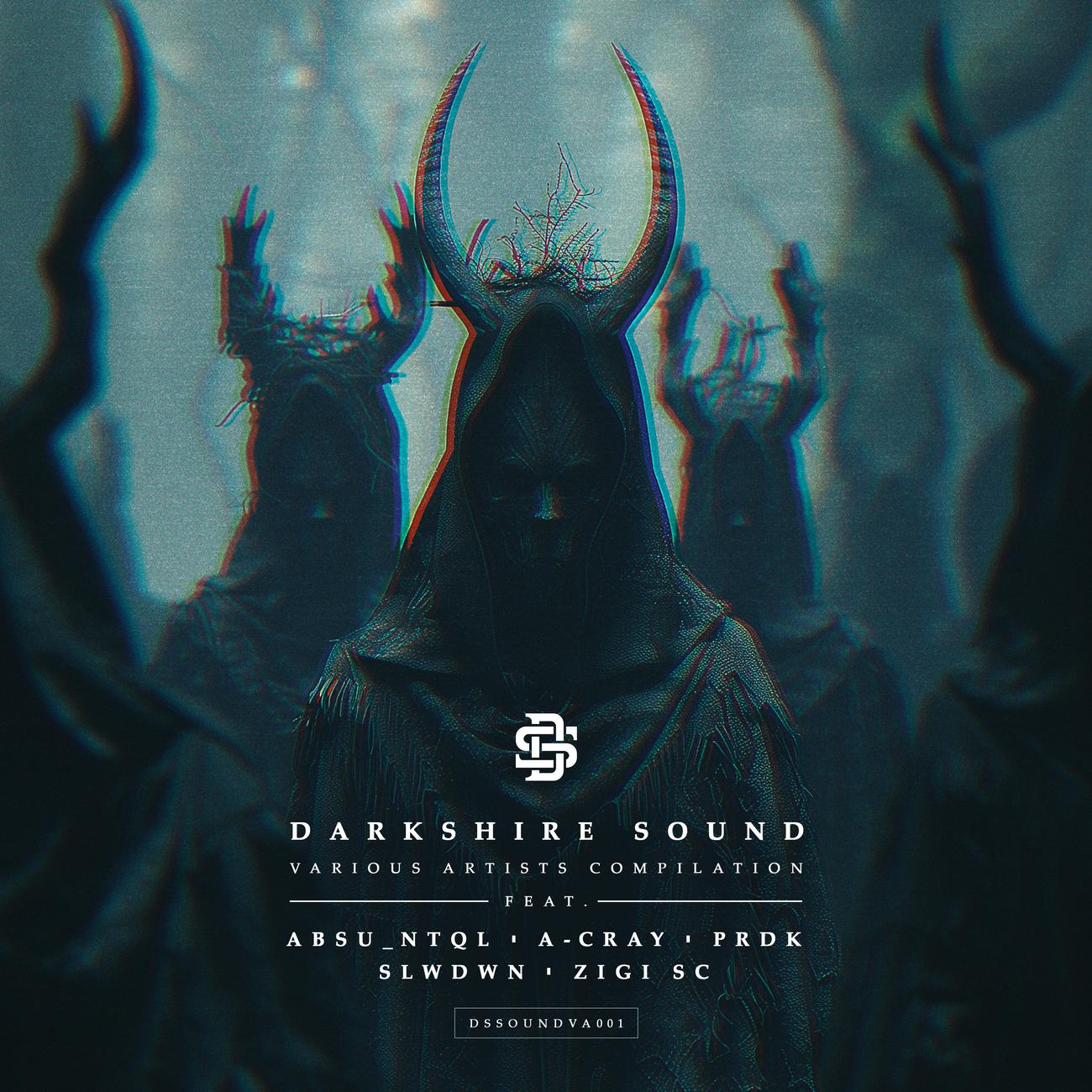 Постер альбома Darkshire Sound VA