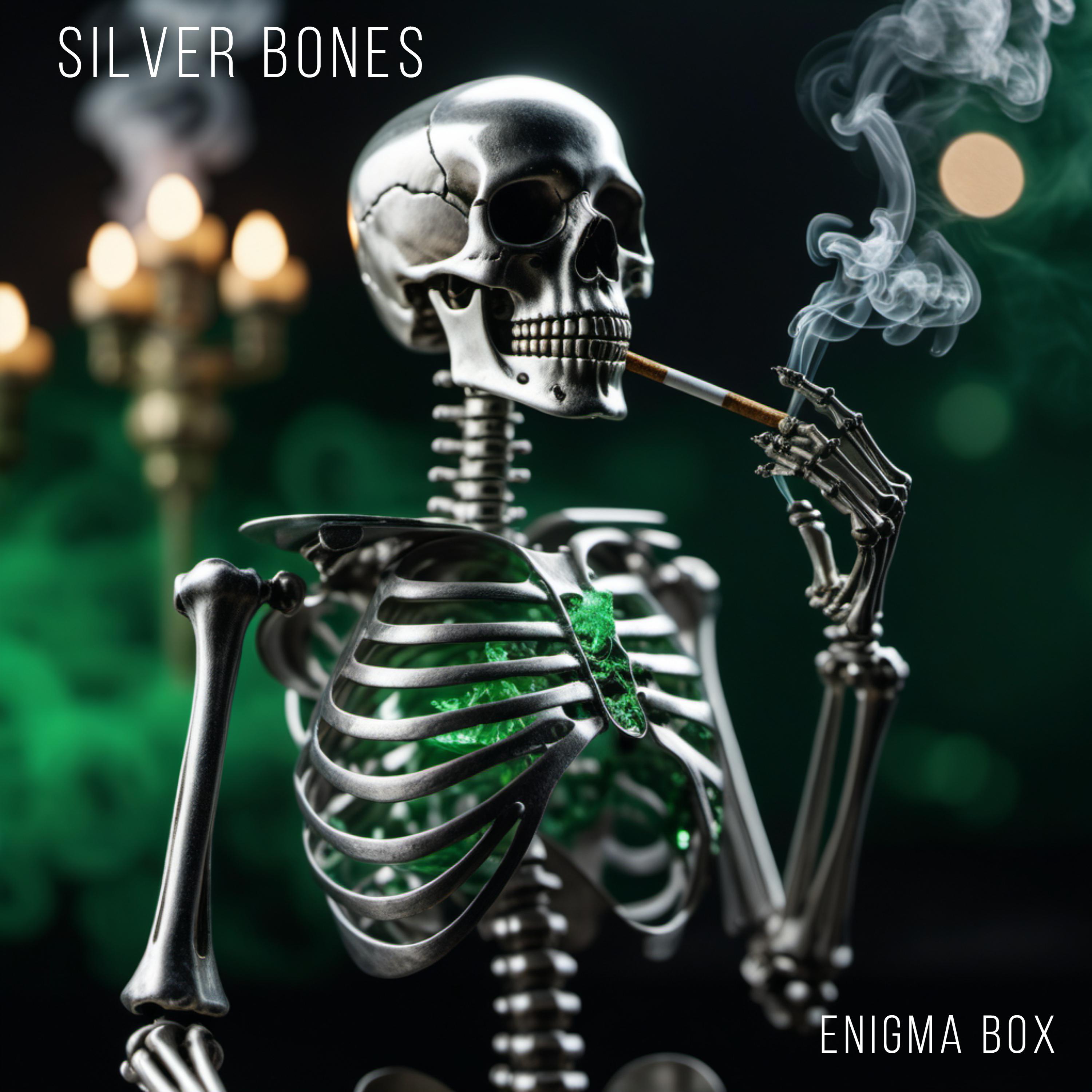 Постер альбома Silver Bones