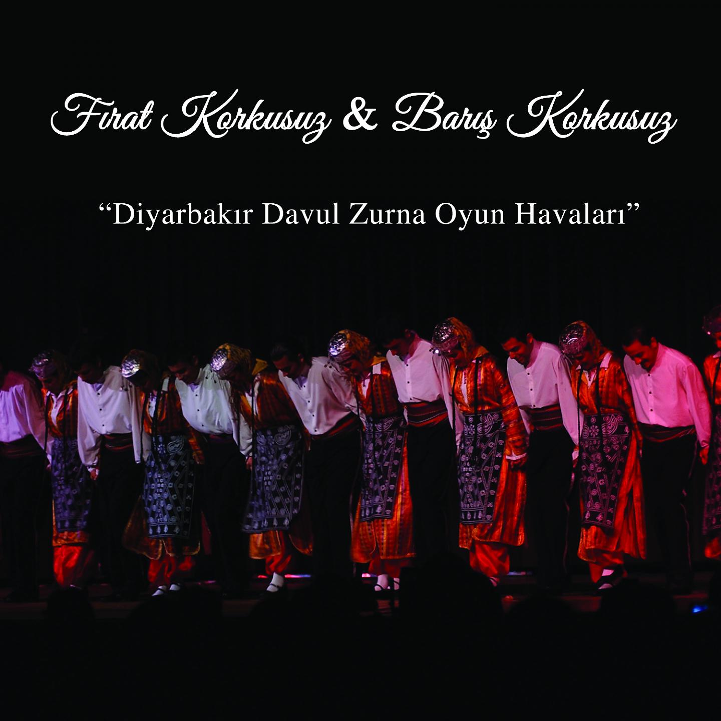 Постер альбома Diyarbakır Davul Zurna Oyun Havaları