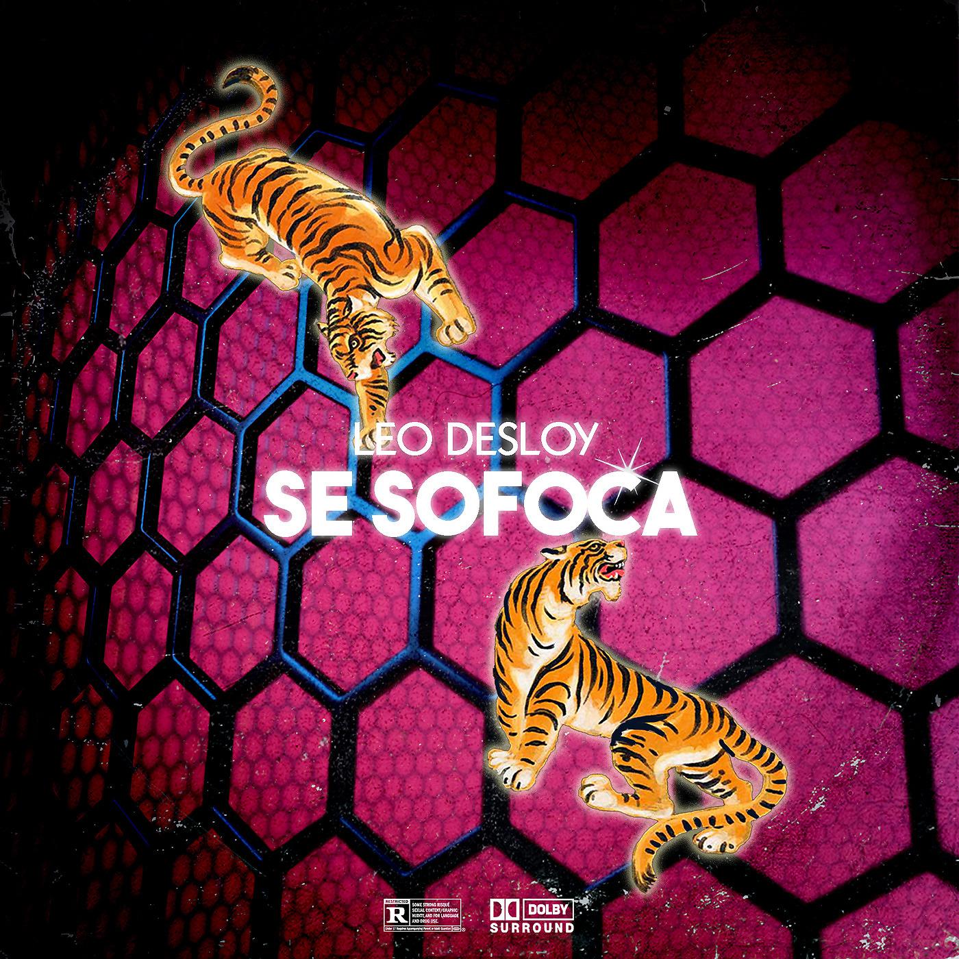 Постер альбома Se Sofoca