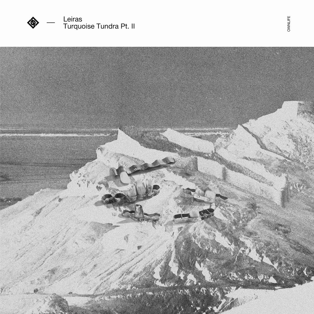 Постер альбома Turquoise Tundra pt.II