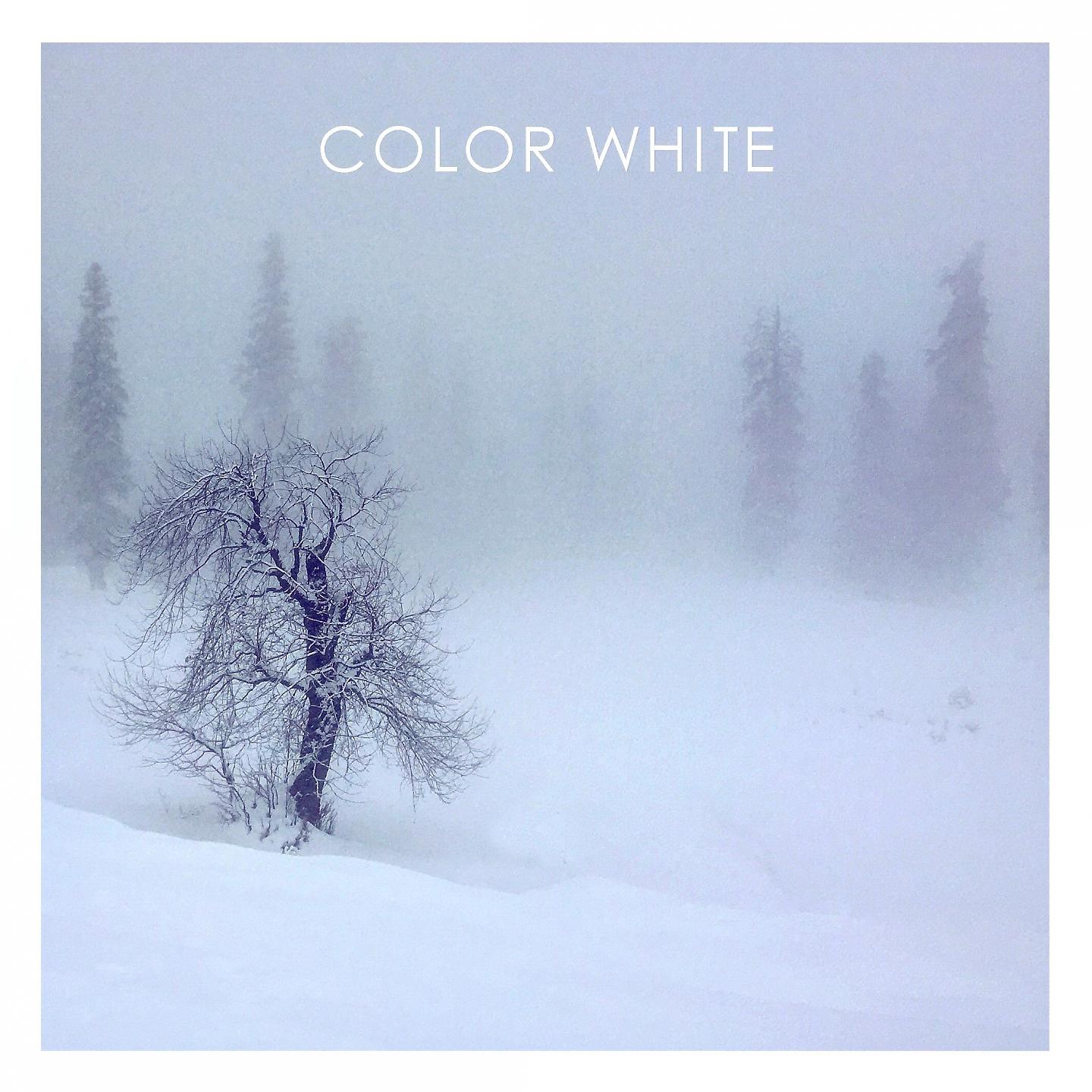 Постер альбома Color White