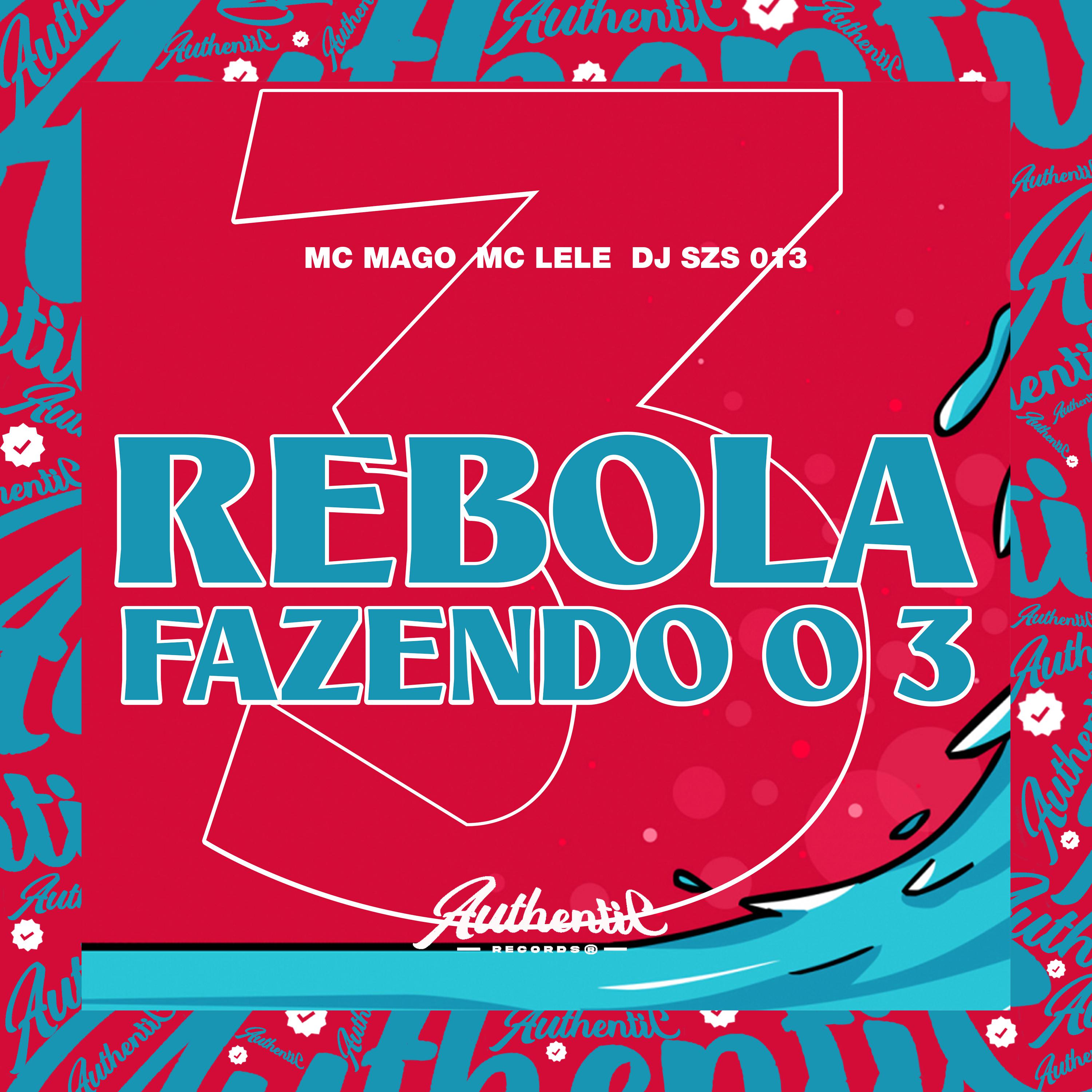 Постер альбома Rebola Fazendo o 3