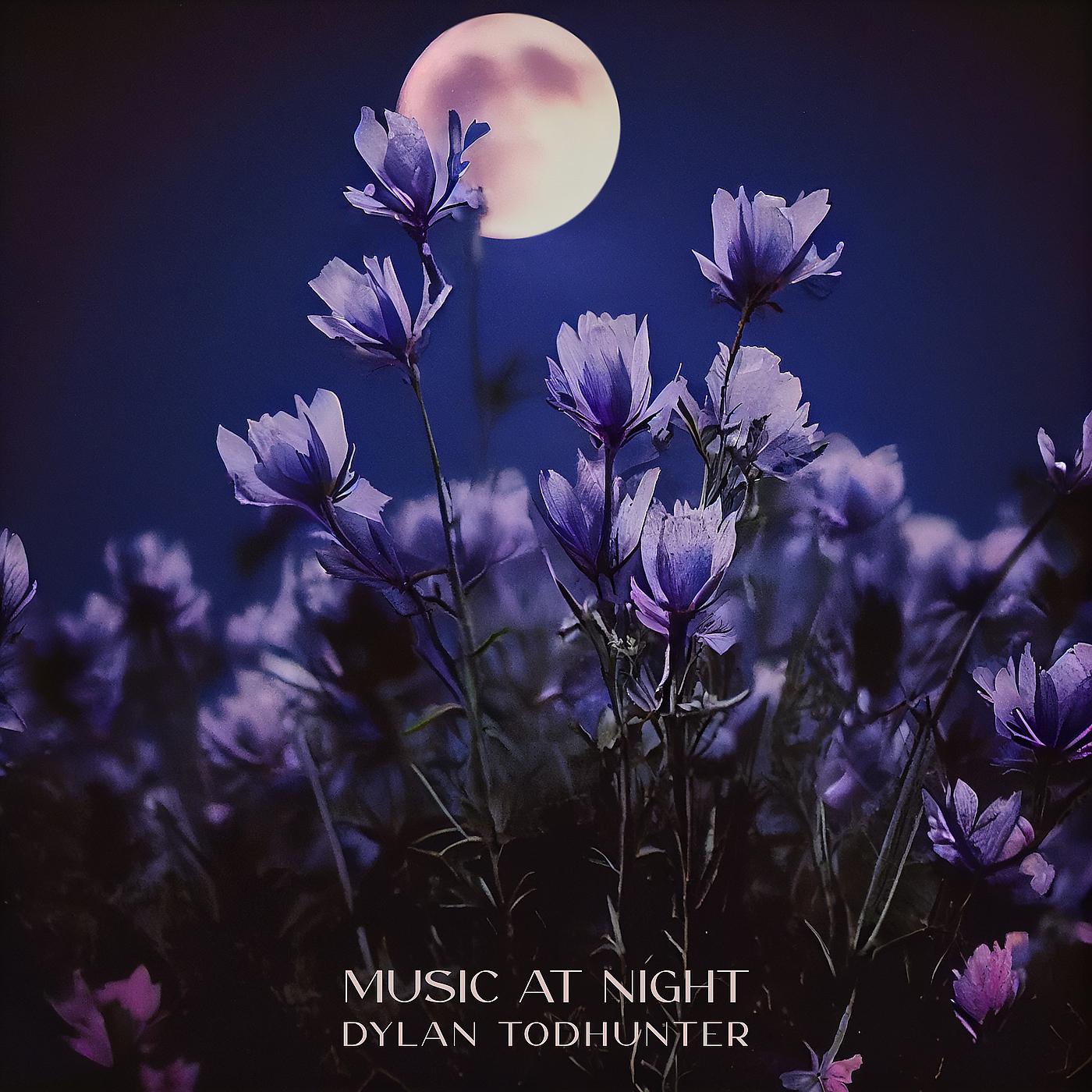 Постер альбома Music at Night