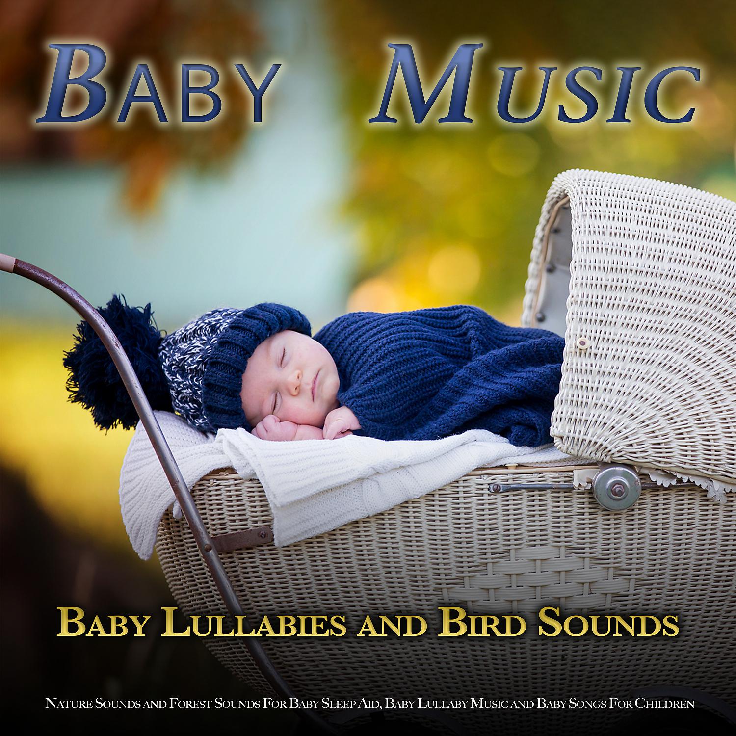 Постер альбома Baby Music: Baby Lullabies and Bird Sounds, Nature Sounds and Forest Sounds For Baby Sleep Aid, Baby Lullaby Music and Baby Songs For Children