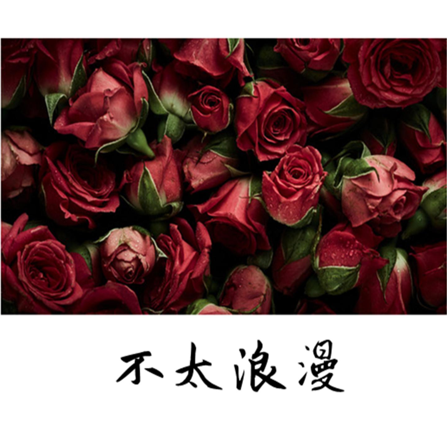 Постер альбома 不太浪漫