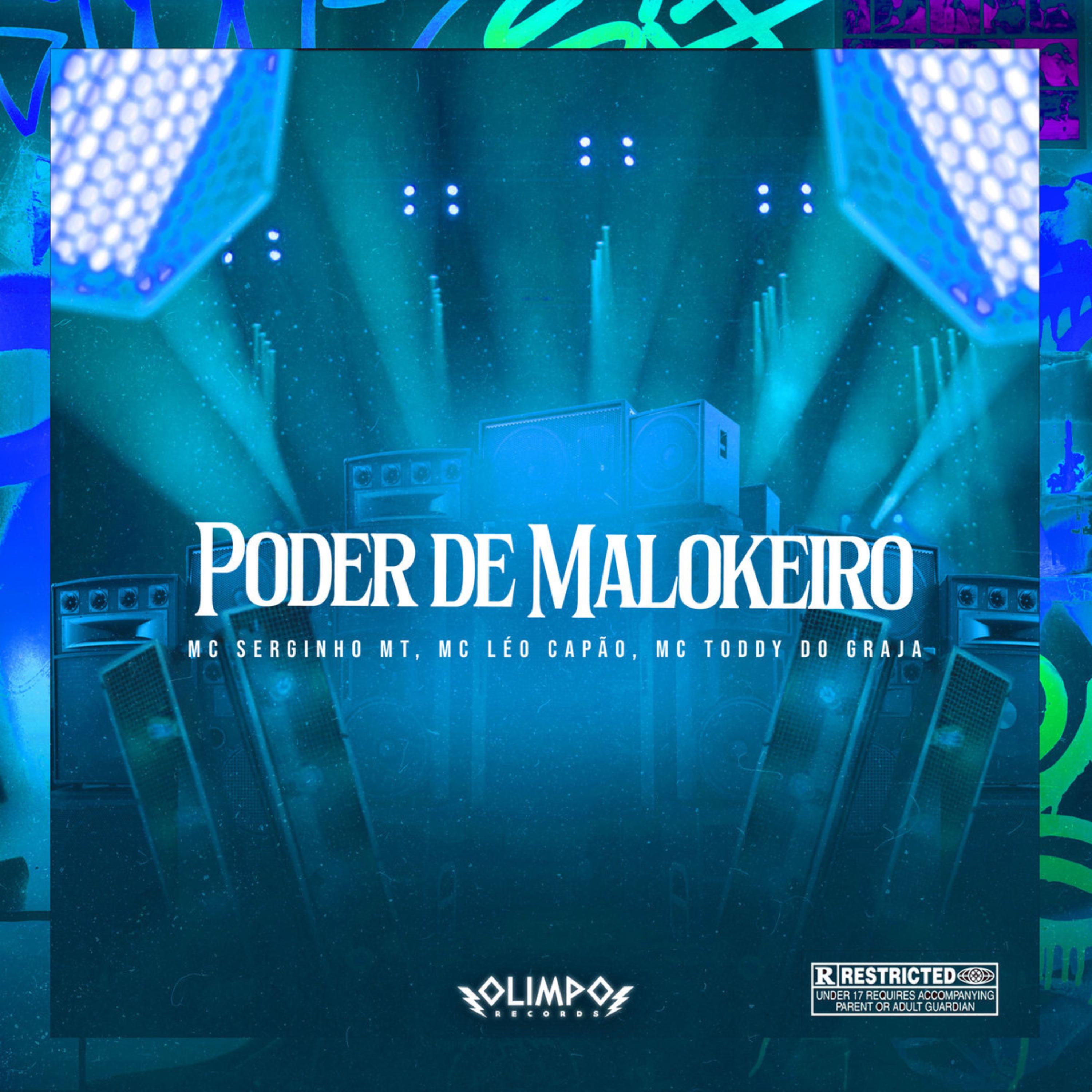 Постер альбома Poder do Maloqueiro
