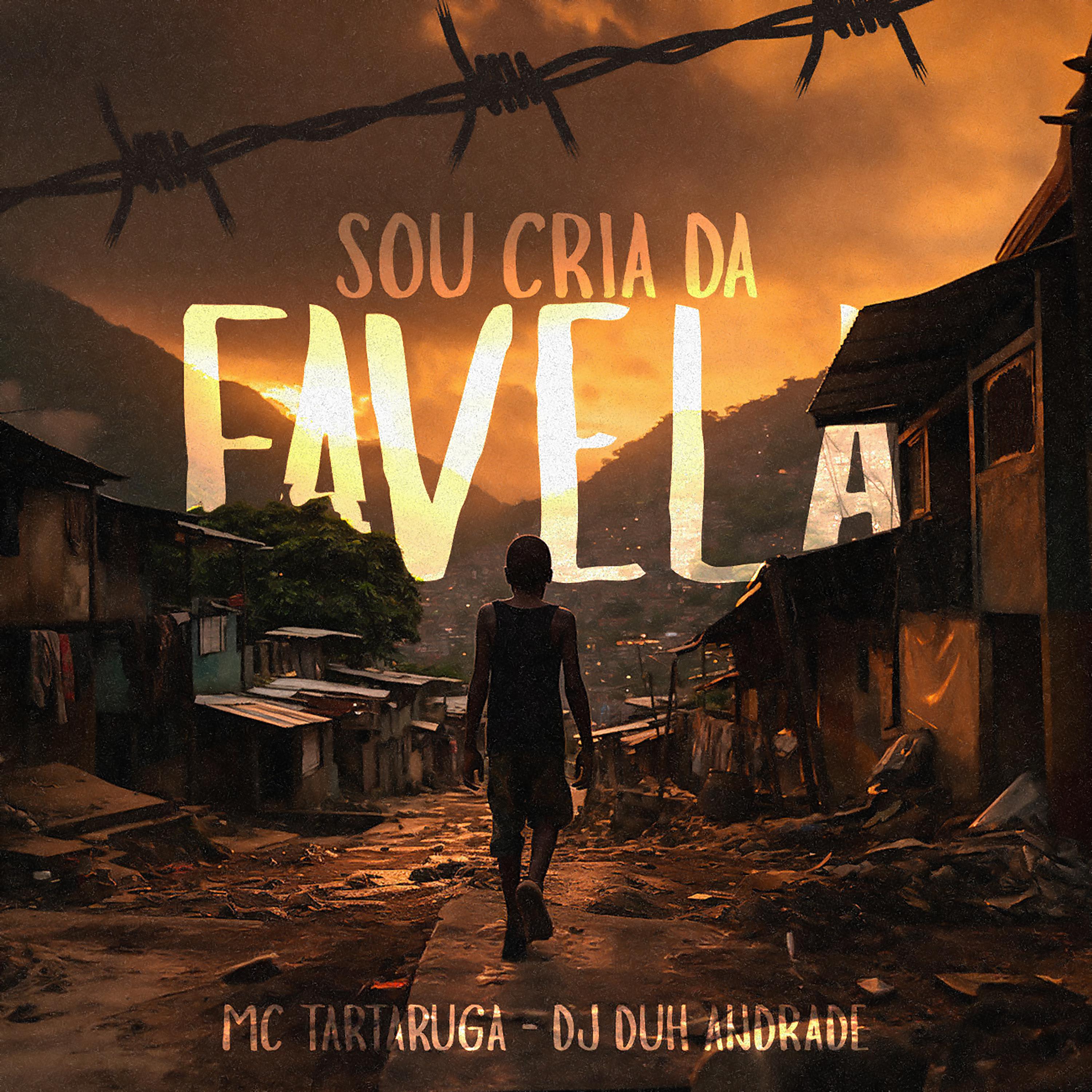 Постер альбома Sou Cria da Favela