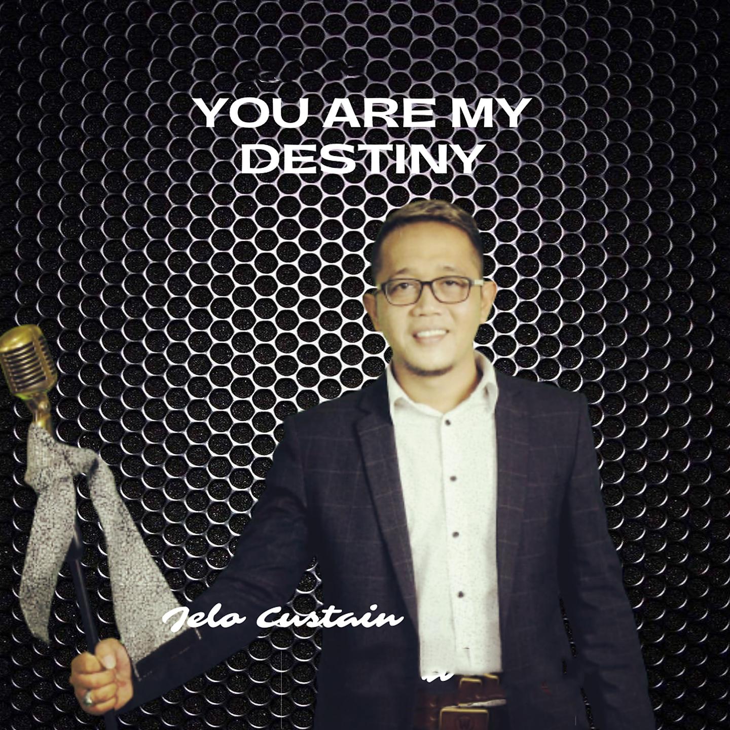 Постер альбома You Are My Destiny