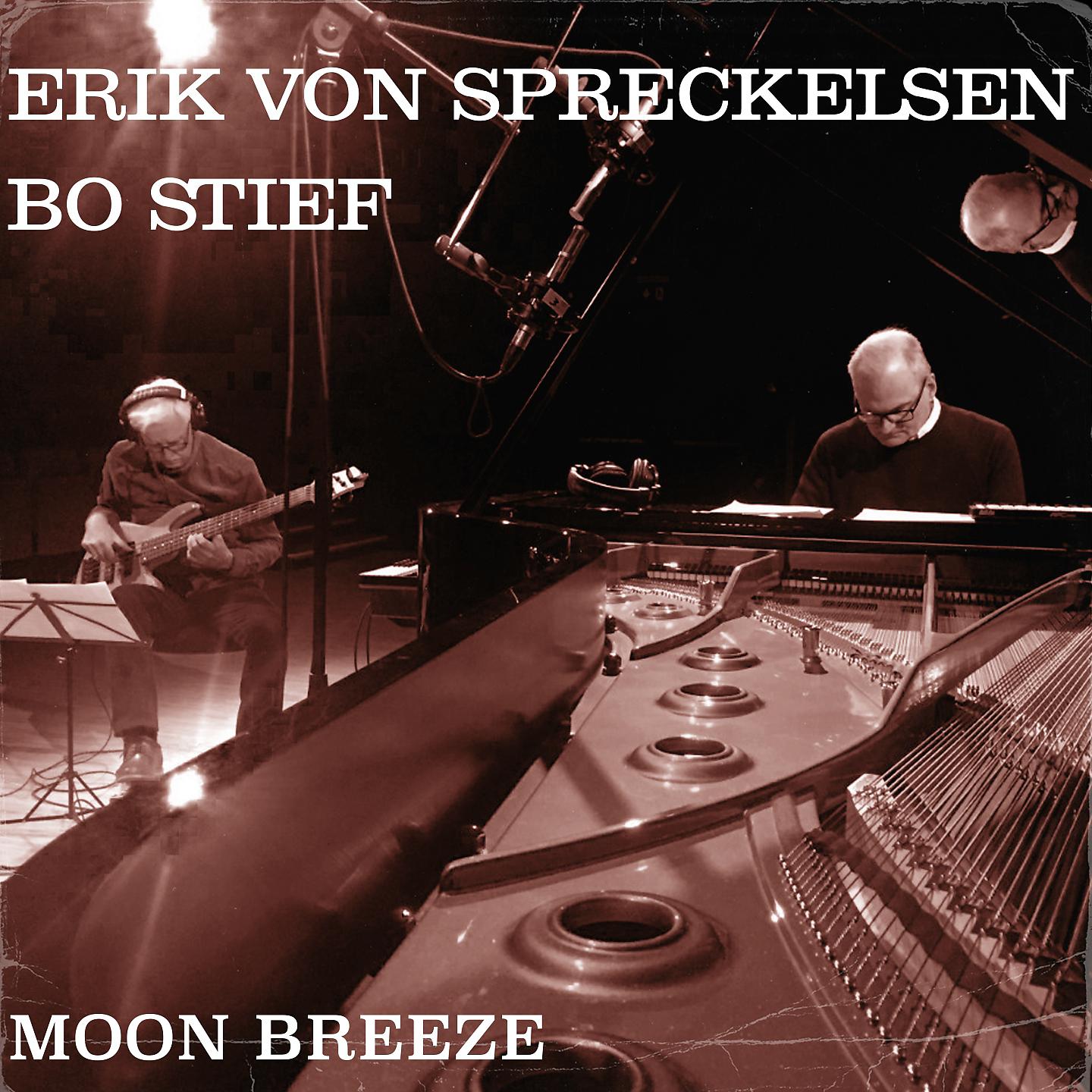Постер альбома Moon Breeze