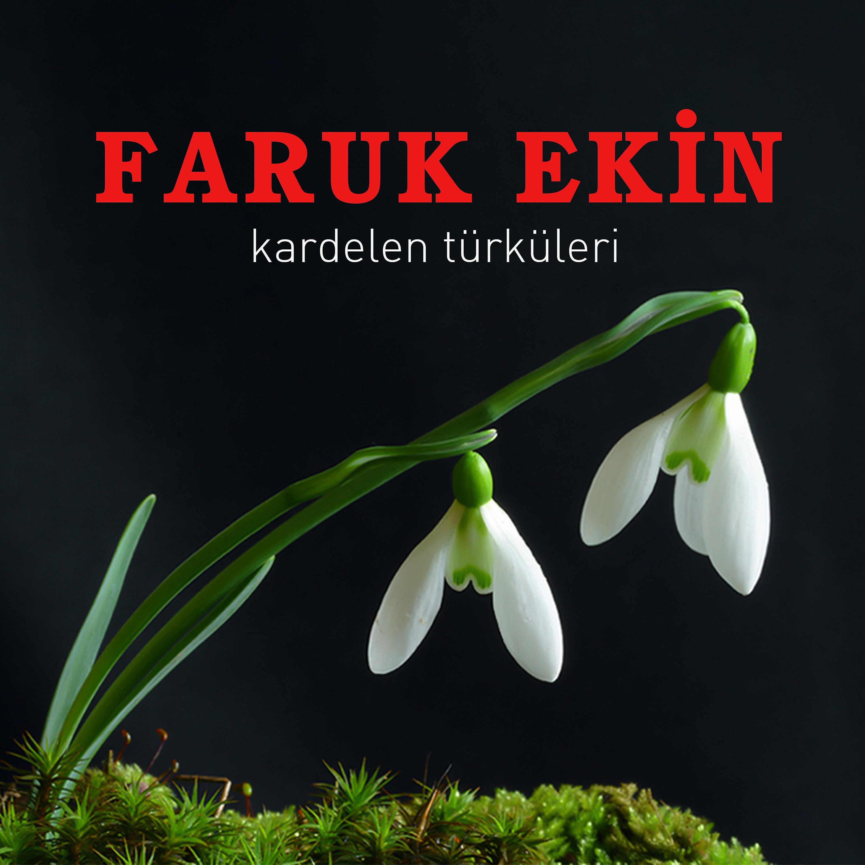 Постер альбома Kardelen Türküleri