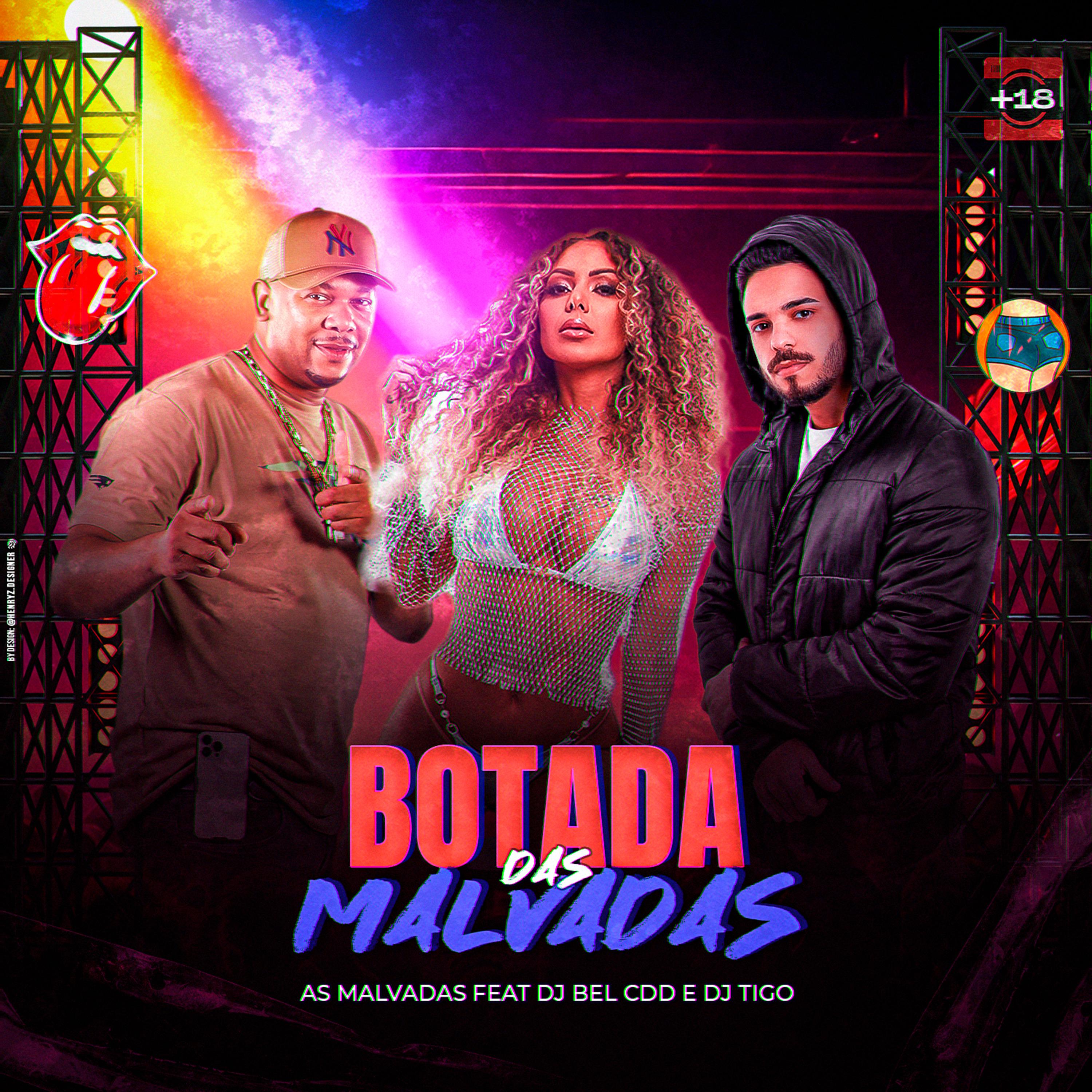 Постер альбома Botada das Malvadas