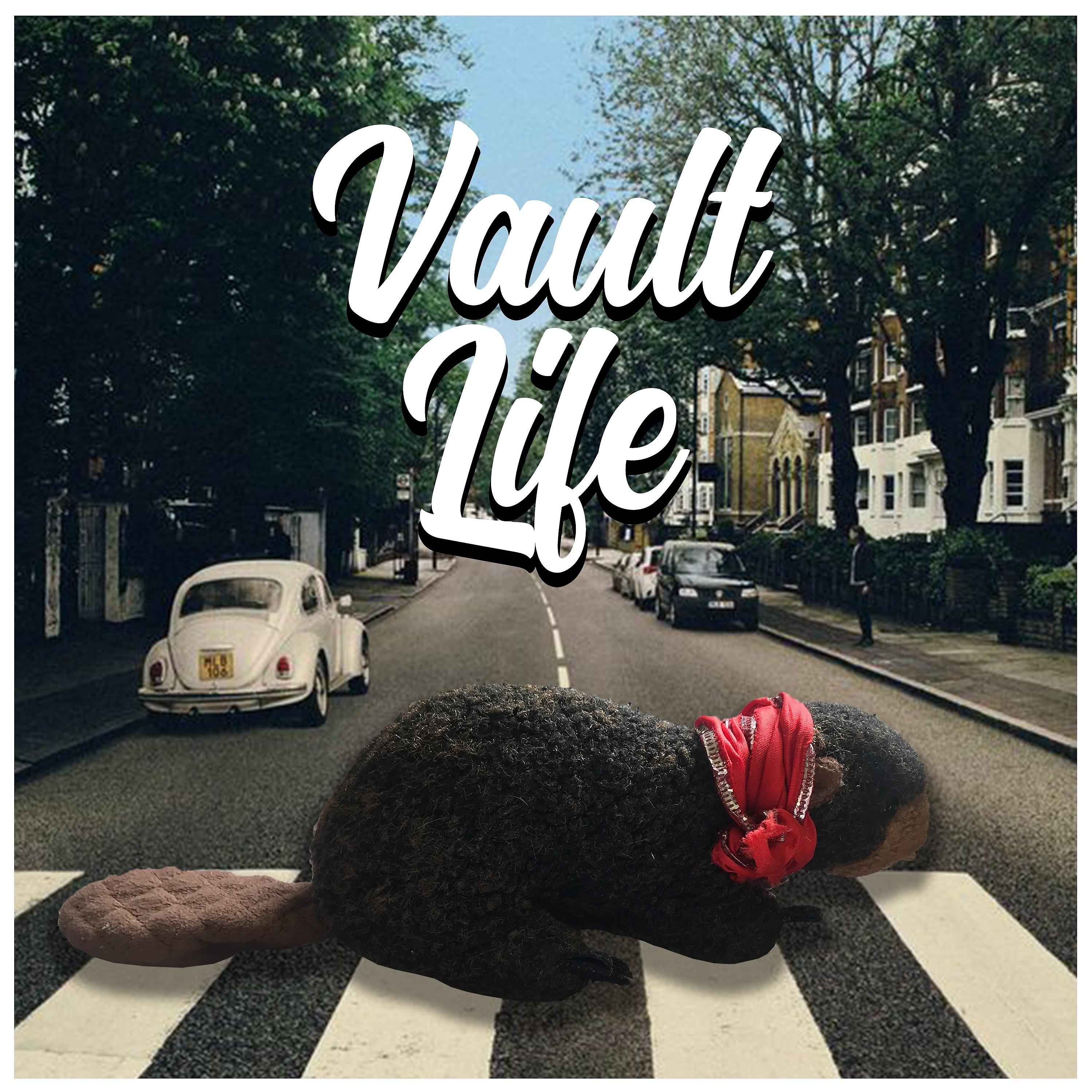 Постер альбома Vault Life