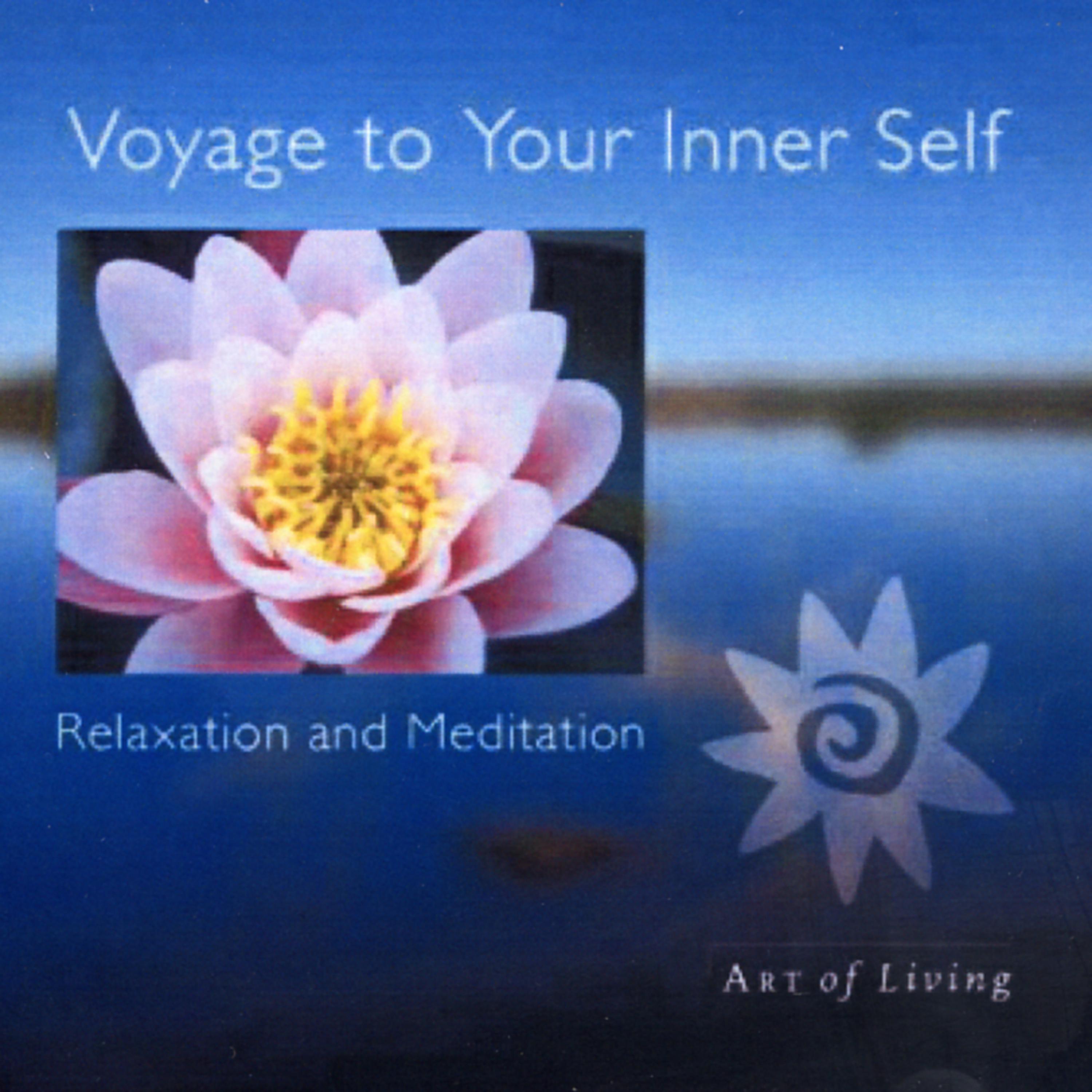 Постер альбома Voyage To The Inner Self