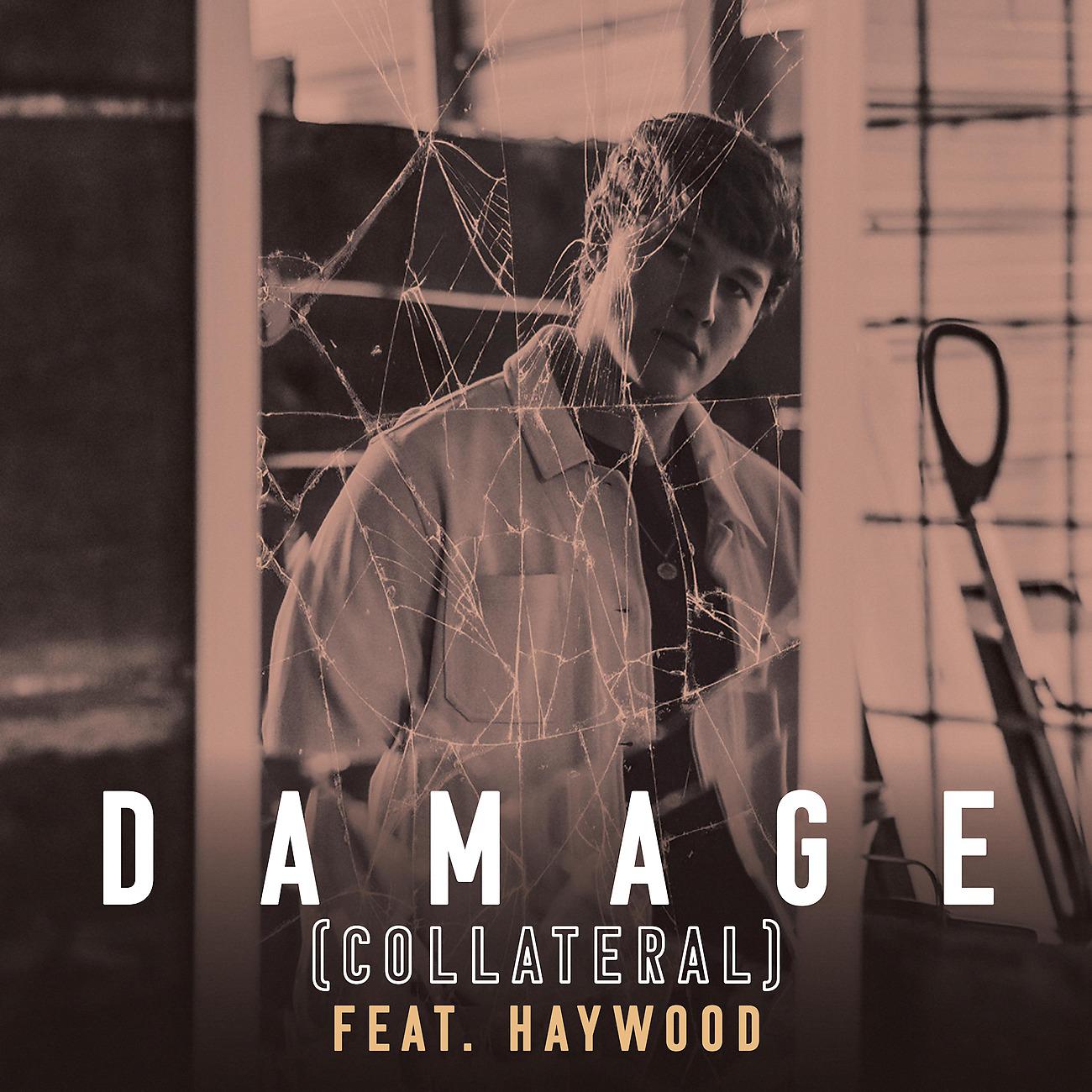 Постер альбома Damage (Collateral)