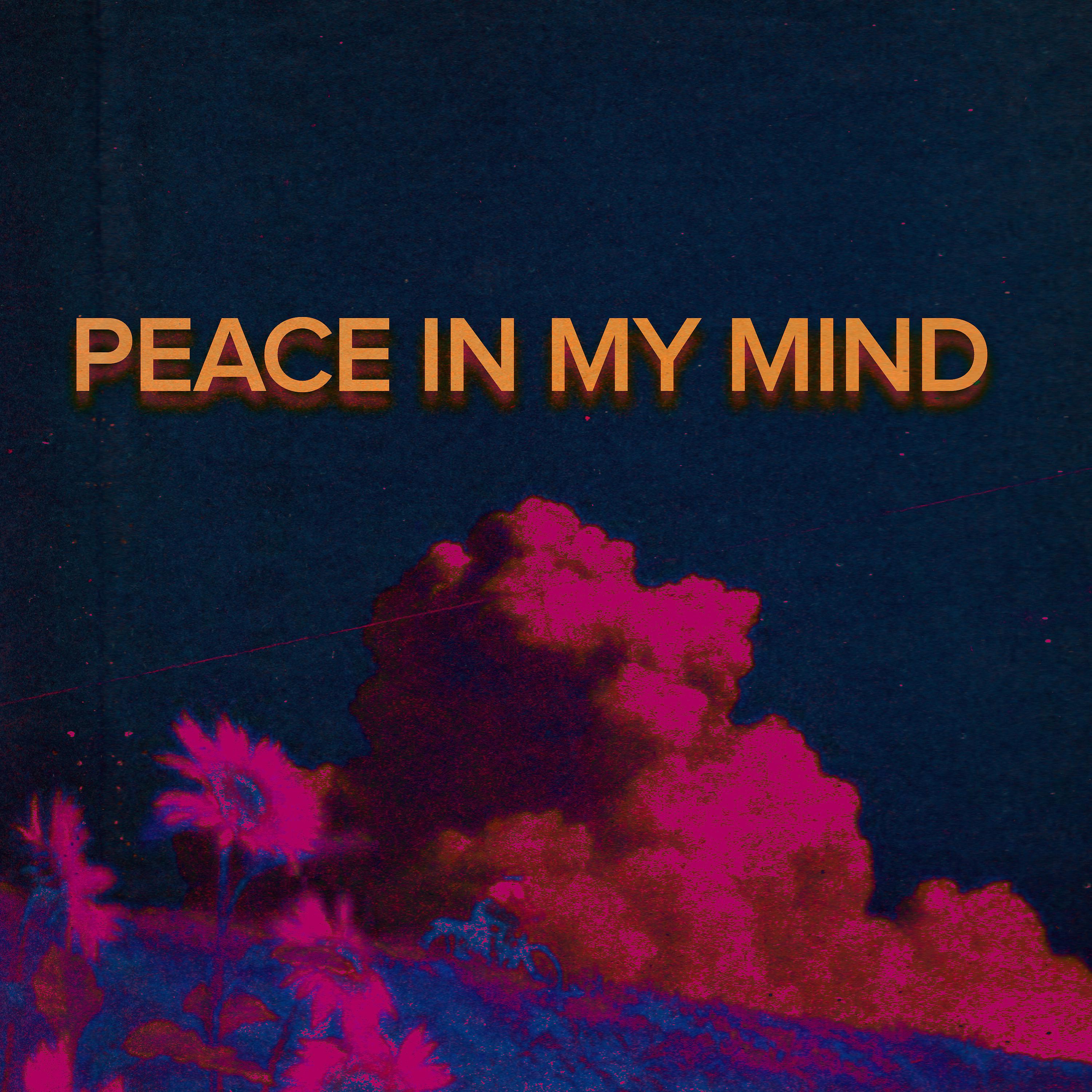 Постер альбома Peace in My Head