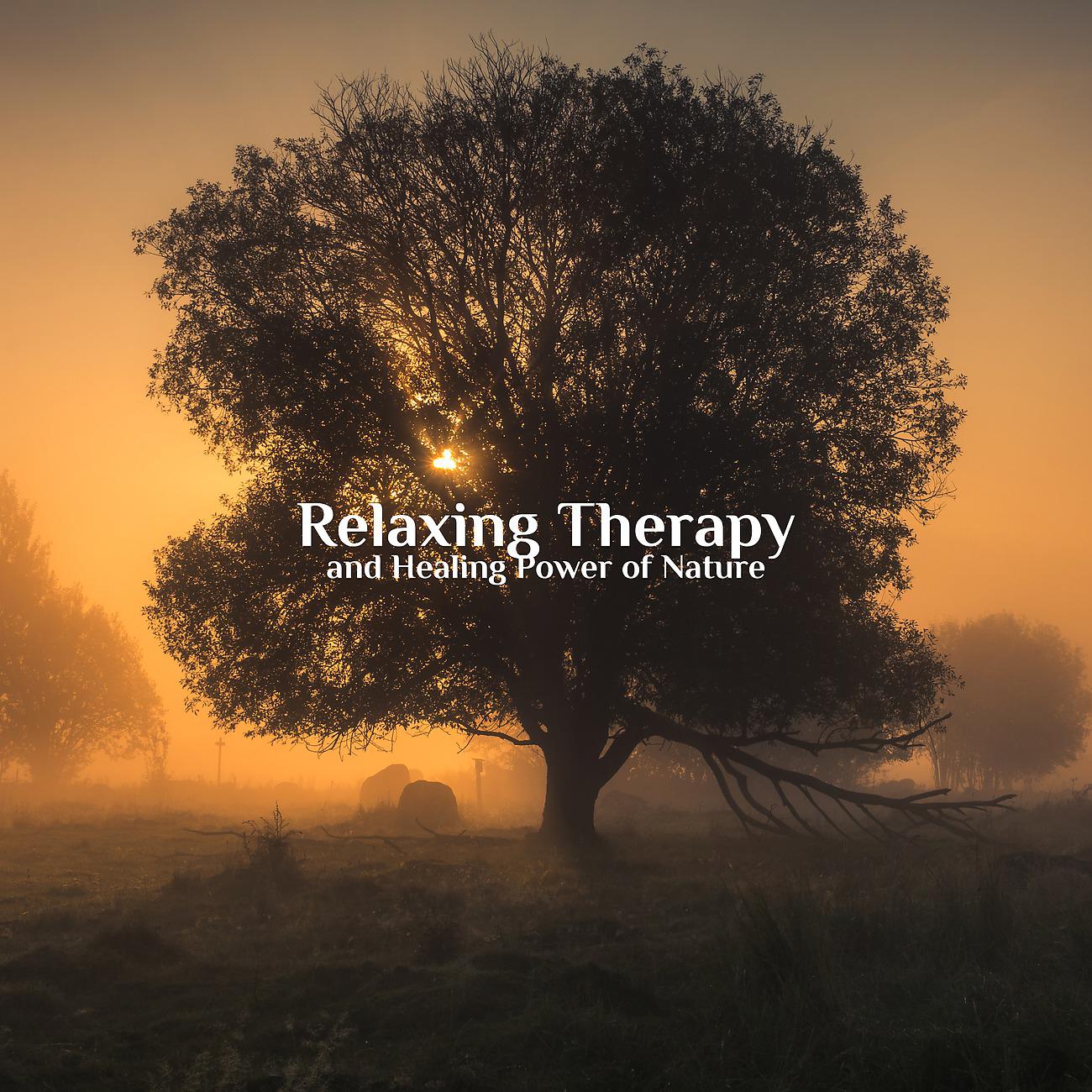 Постер альбома Relaxing Therapy and Healing Power of Nature